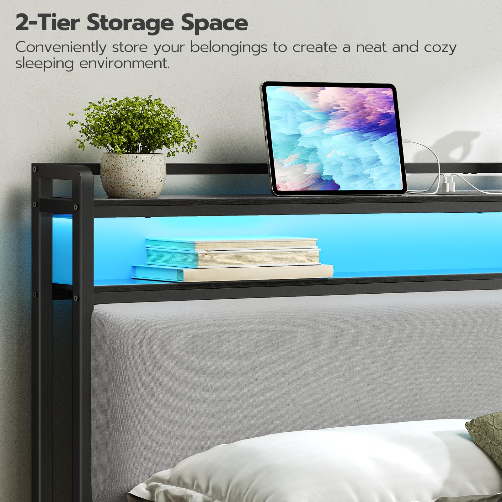 https://m.media-amazon.com/images/I/81vLeX8ZAfL.jpg