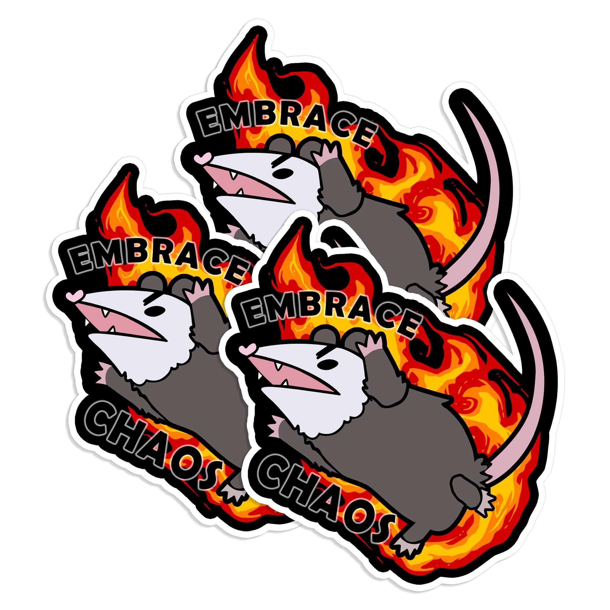 Amazon.com: Set 3PCS - Possum Embrace Chaos Choose Violence