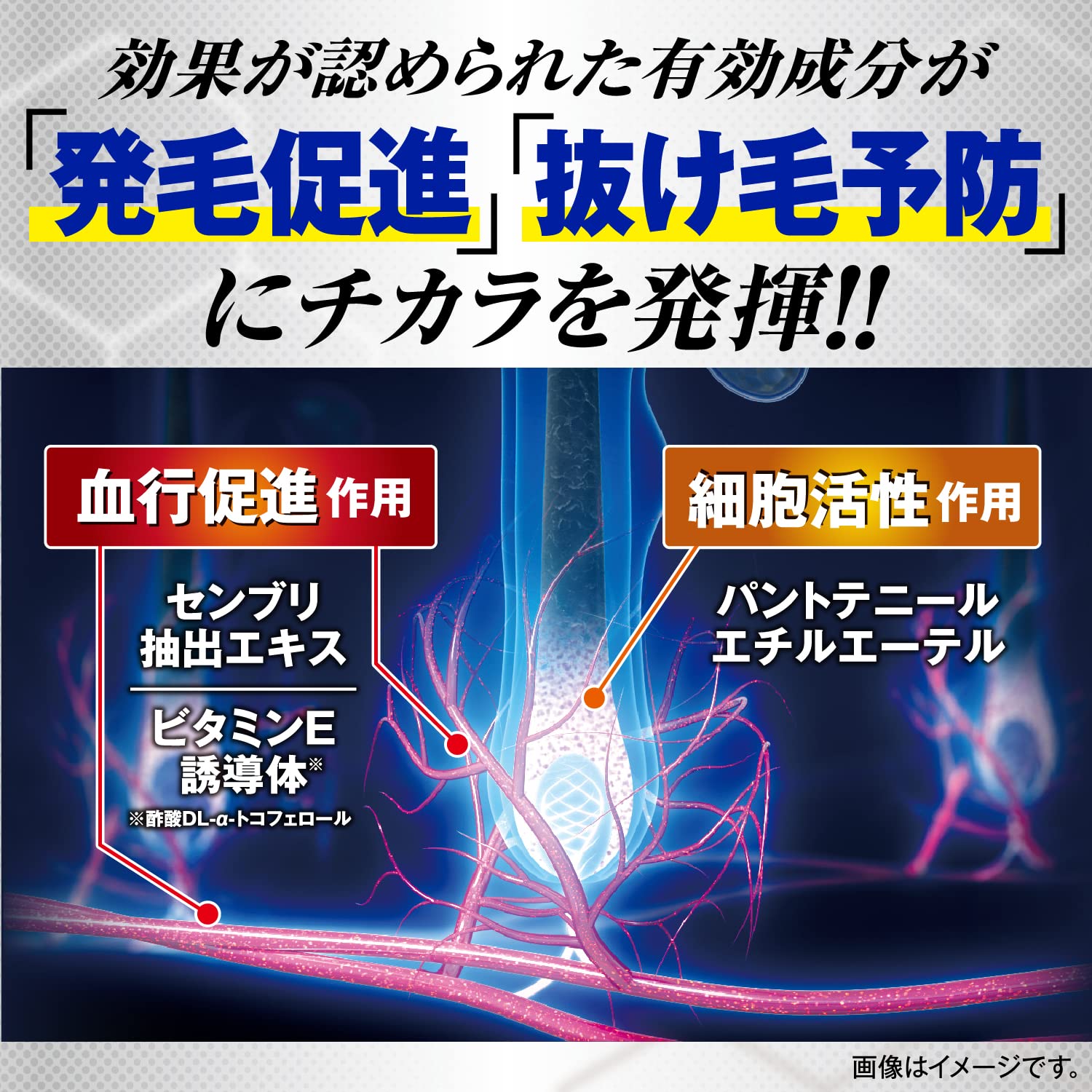 Amazon.co.jp: 【医薬部外品】 大正製薬 フレッシュリアップHOGSPA