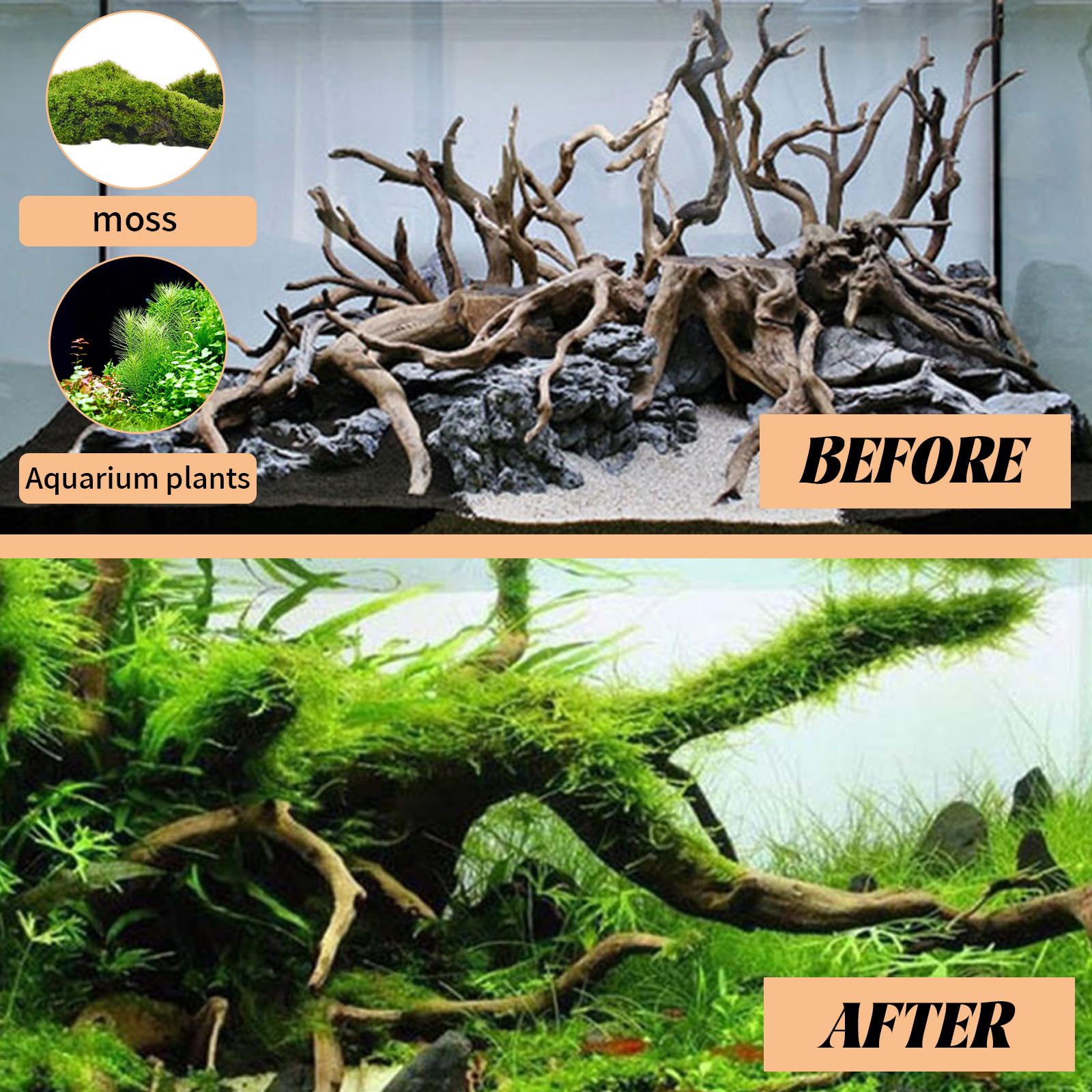 Legno per Acquario 15-20 CM 4 Pezzi Tronchi Legno Decorativi Naturale Terrario