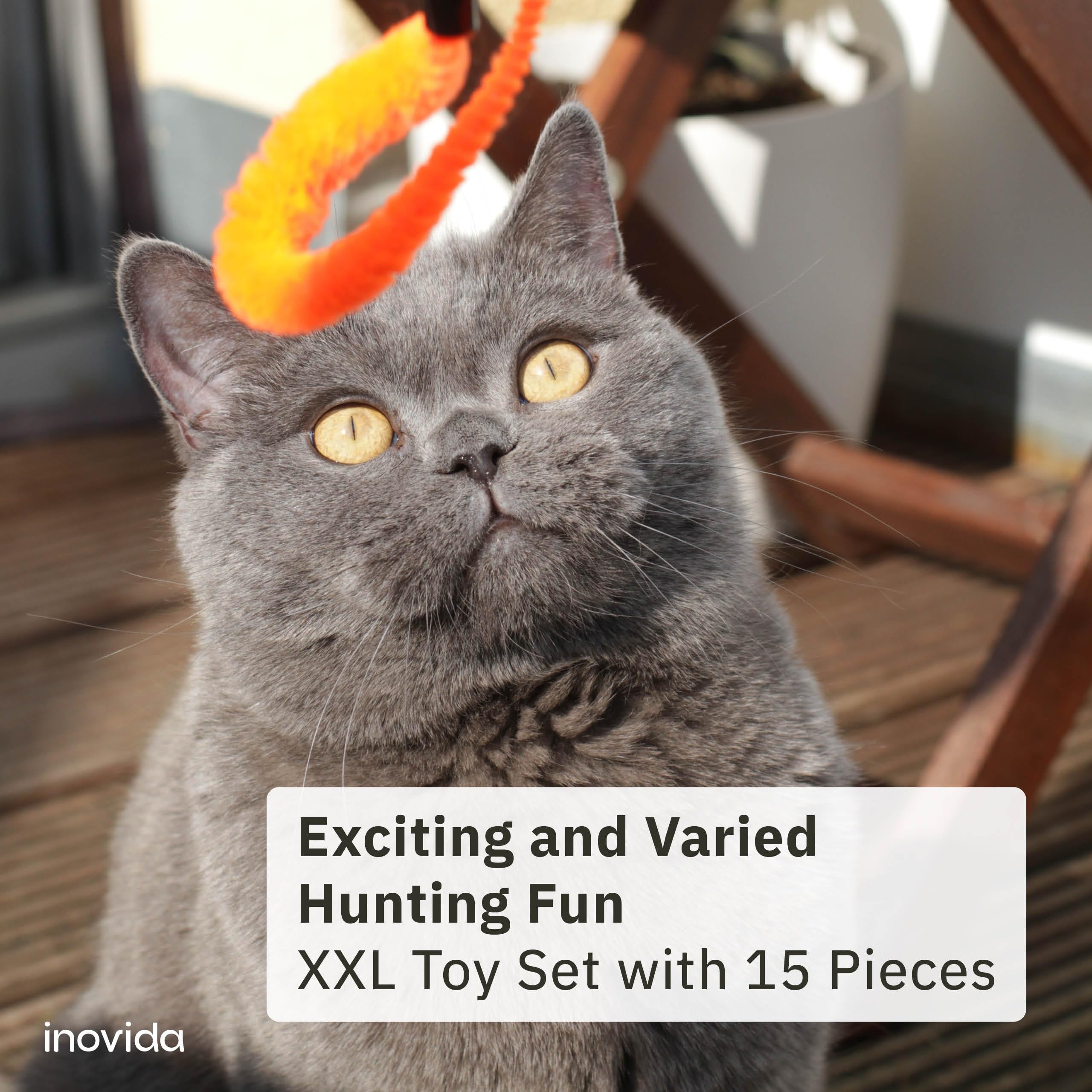 Inovida XL 15 Pcs Cat Fishing Rod Toys Set - Vegan and with Catnip - Feather Wand Kit for Indoor Cat - for Adult and Kittens - From - Image 2