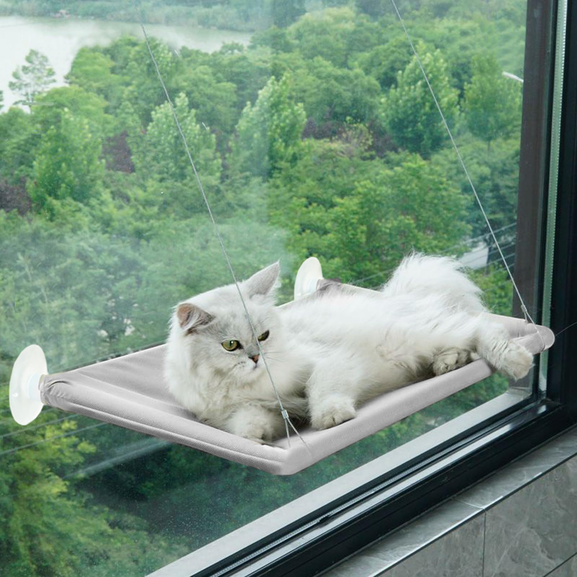homelifthubCat Window Perches, Cozy Cat Hammock for Window, 21.65x11.8 Inch Cat Window Bed, Enjoy The View with Window Cat Perch, Heavy Duty Suction Cups (Grey, 21.65x11.8 inch)