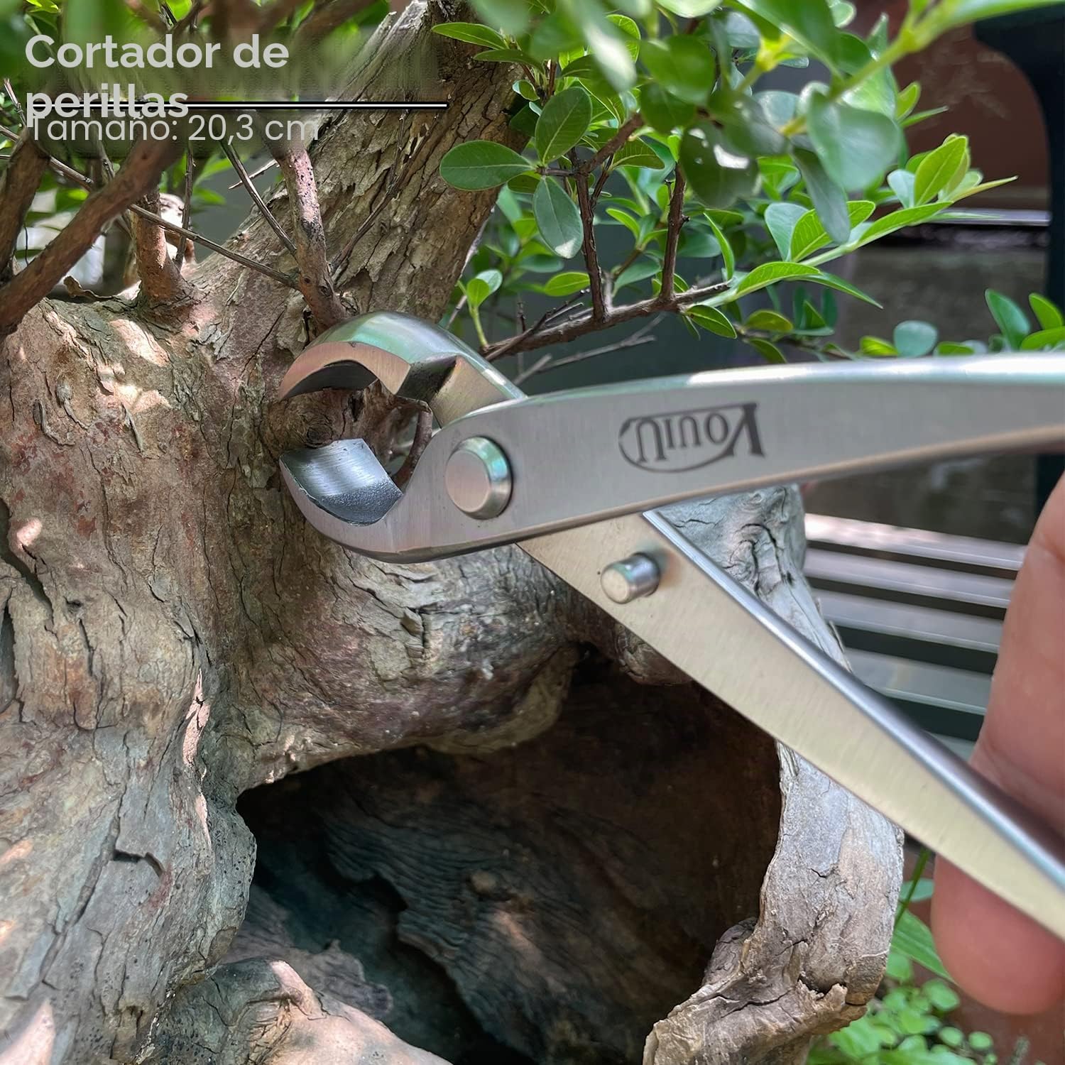 vouiu Juego de herramientas para bonsái de 6 piezas, cortador cóncavo, cortador de perilla, alicates Jin, cortador de alambre, tijeras de bonsái, gancho de raíz de bonsái