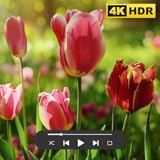 Spring Ambience Screensavers - 4K Nature Scenes with Relaxing Music for Fire TV