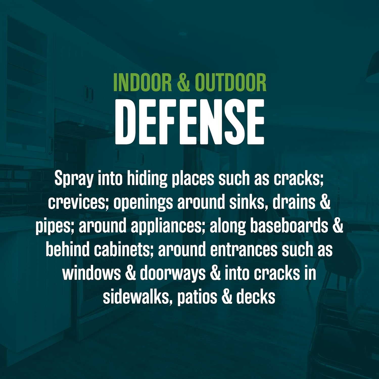 Ecologic Eco-Logic Ant & Roach Killer, Pack of 12