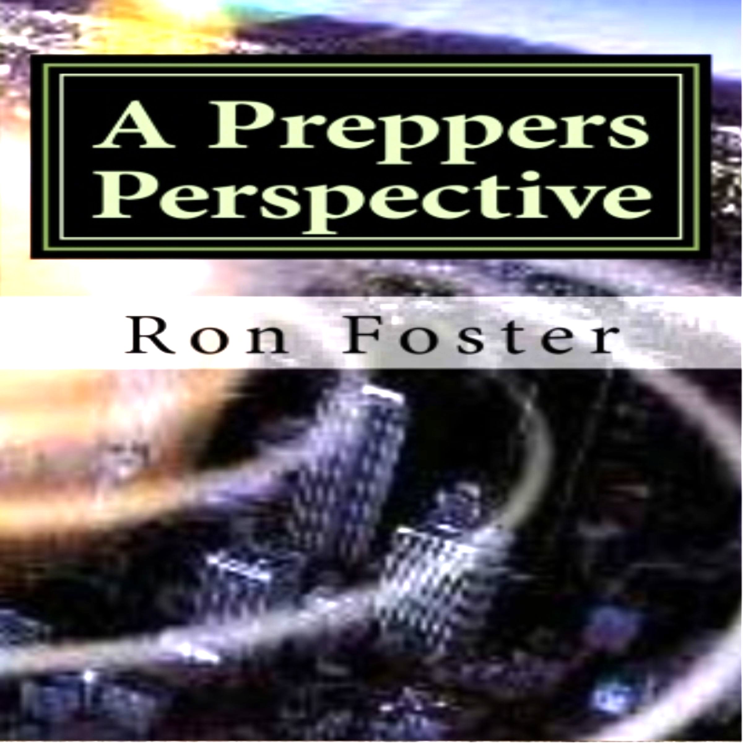Cover art for A Preppers Perspective