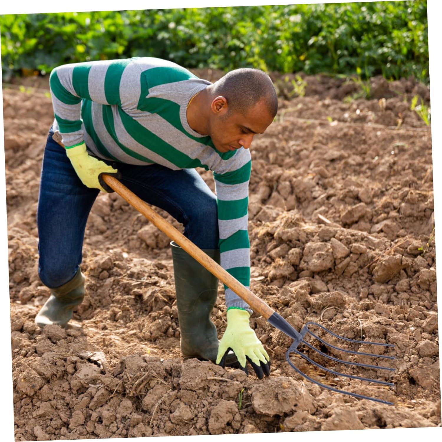 Manure Fork for Gardening and Farming Heavy-Duty 4-Tine Agricultural Tool Ergonomic Handle for Digging and Aerating Soil