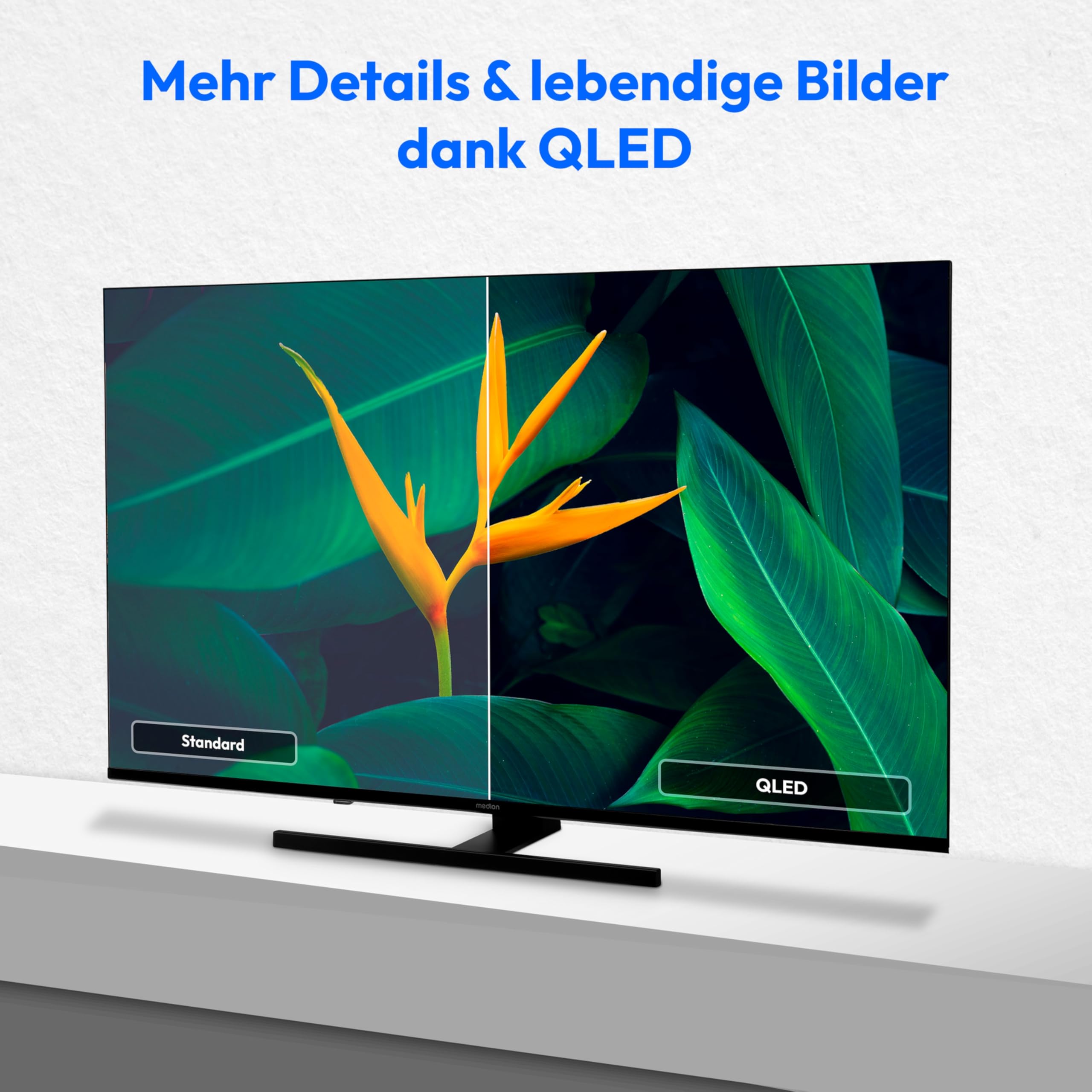 MEDION 138,8 cm (55 Zoll) QLED Fernseher (Smart-TV, Dolby Vision HDR, VIDAA Store, Prime Video, Disney+, DAZN, Paramount+, DTS X, Dolby Atmos, PVR, Bluetooth, MD 855600)