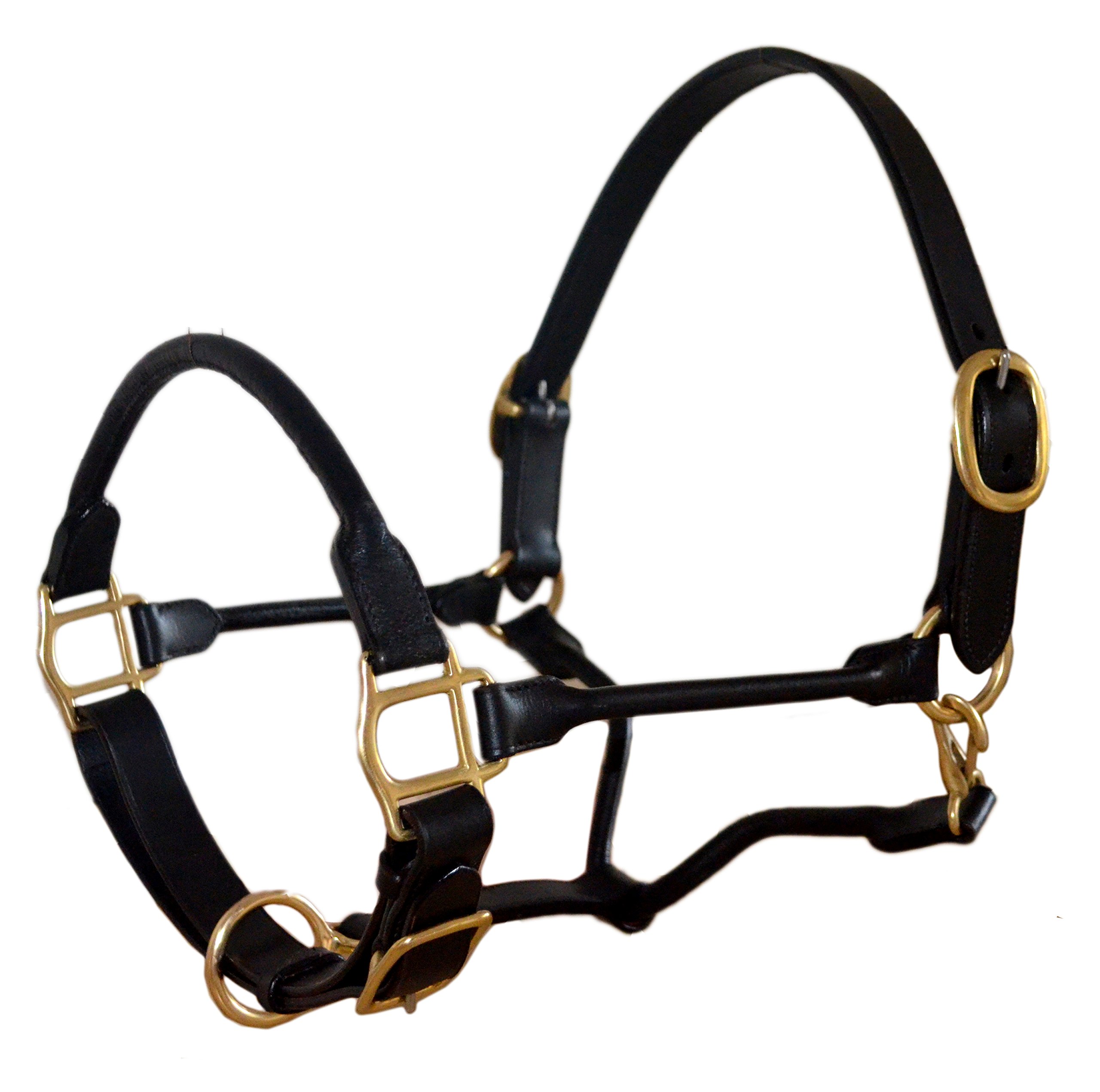 rolled piel sie ajustable caballo Halter