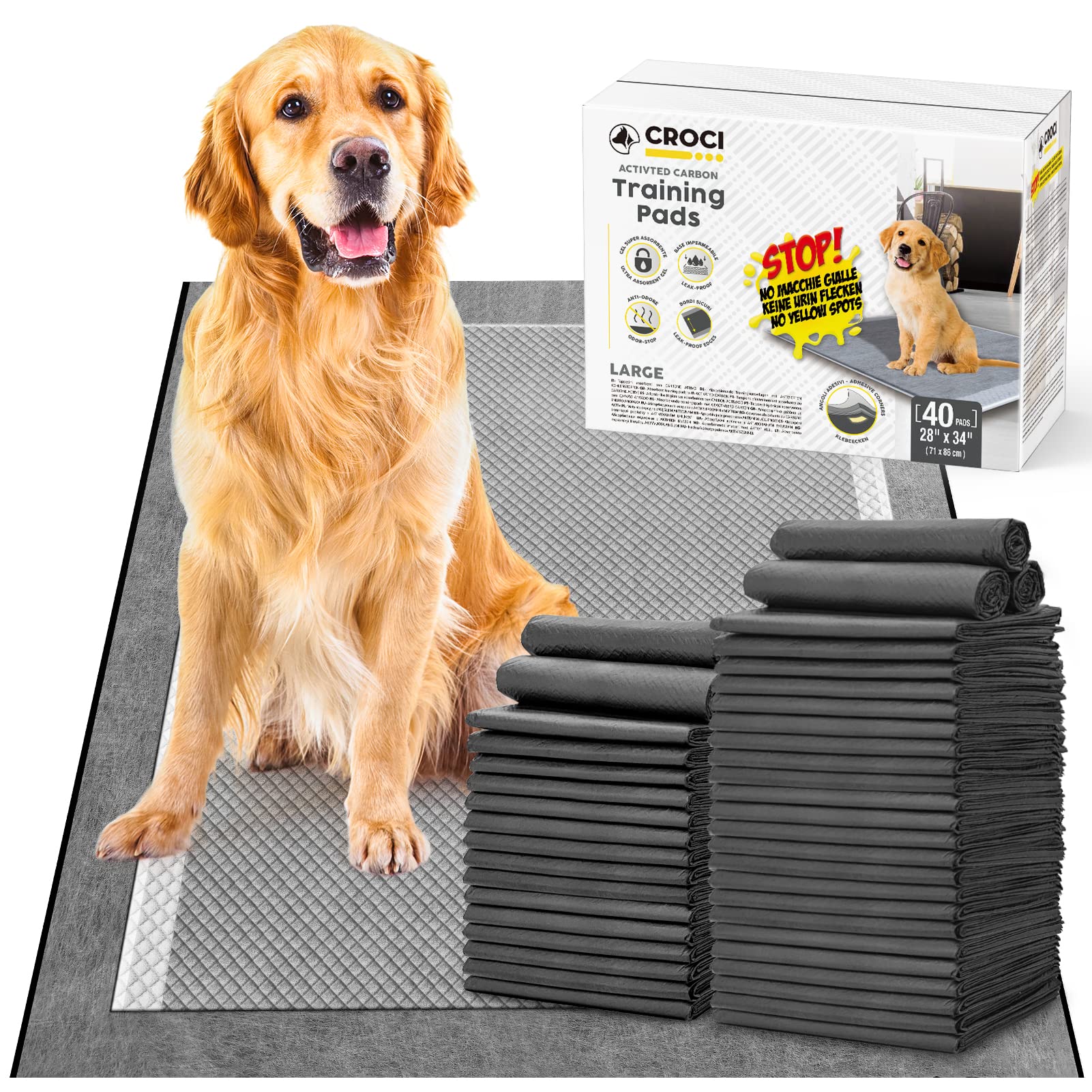 How To Train A Dog To Stop Using Pee Pads