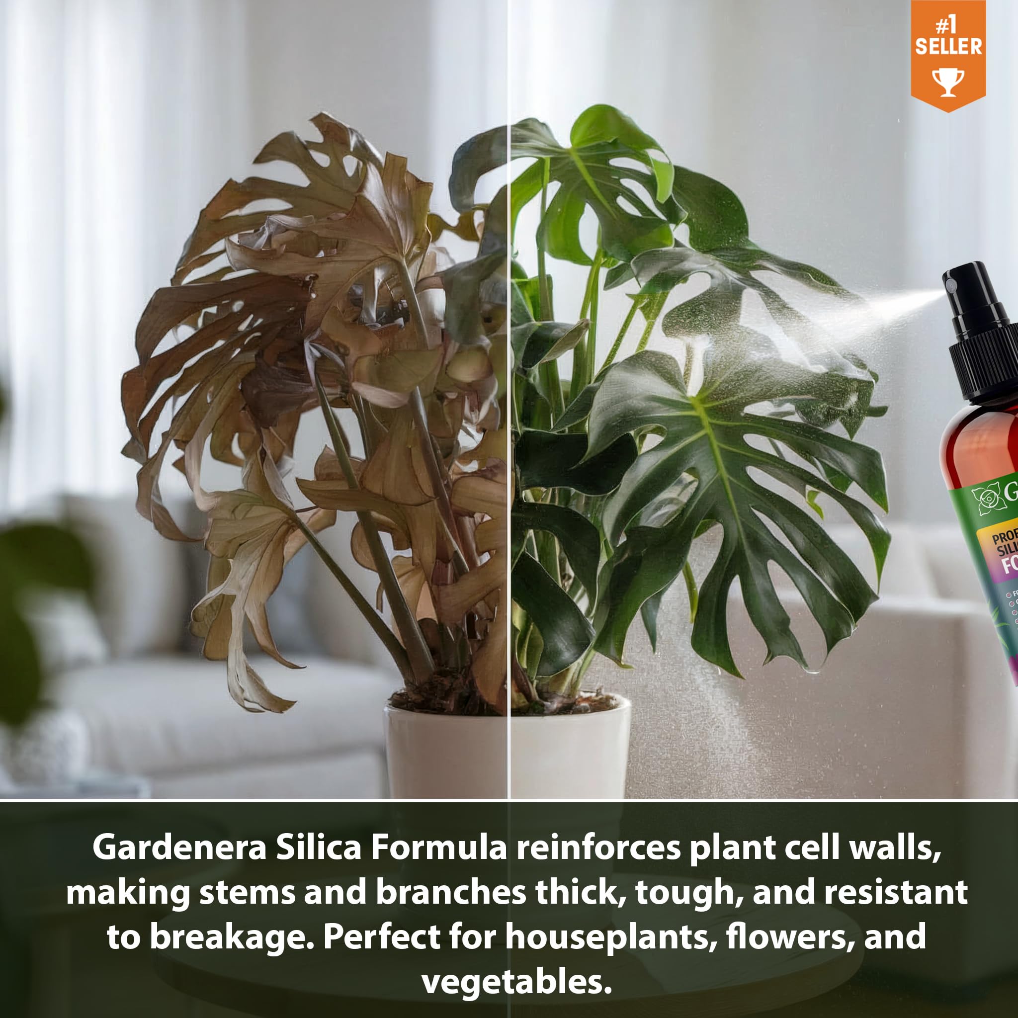 ???????????????????????????????????????????????? Liquid Silica Plant Supplement - 32oz - Apple Tree Liquid Silica Boost Fertilizer - Stronger Stems & Healthy Leaves for Indoor & Outdoor Apple Trees (Makes 180 Gallons)