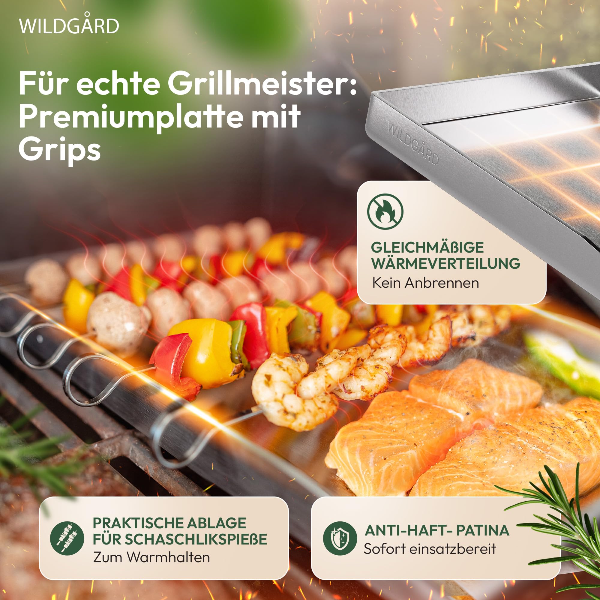 Plancha Plaque de cuisson - Plancha en acier inoxydable épais - 40 x 30 cm - Convient pour barbecue à gaz et barbecue à charbon +PLUS: 2x spatule de barbecue & 5x brochettes