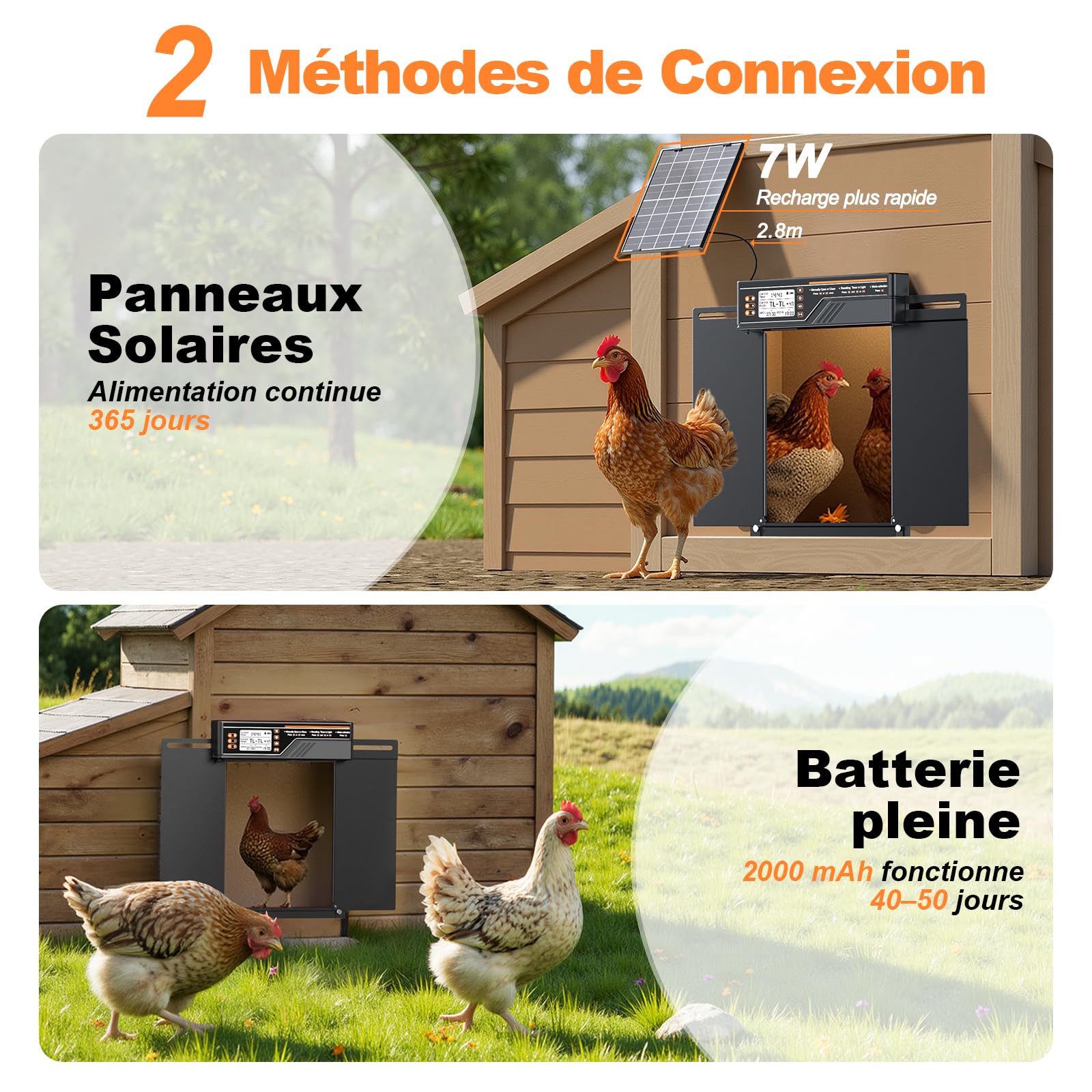 Grande Porte Poulailler Automatique Solaire, MASTERFUN Double Porte Coulissante Latérale, Porte Automatique Poulailler Solaire avec Minuterie, Fonction Lumière, Télécommande, Fonction Anti-pincement
