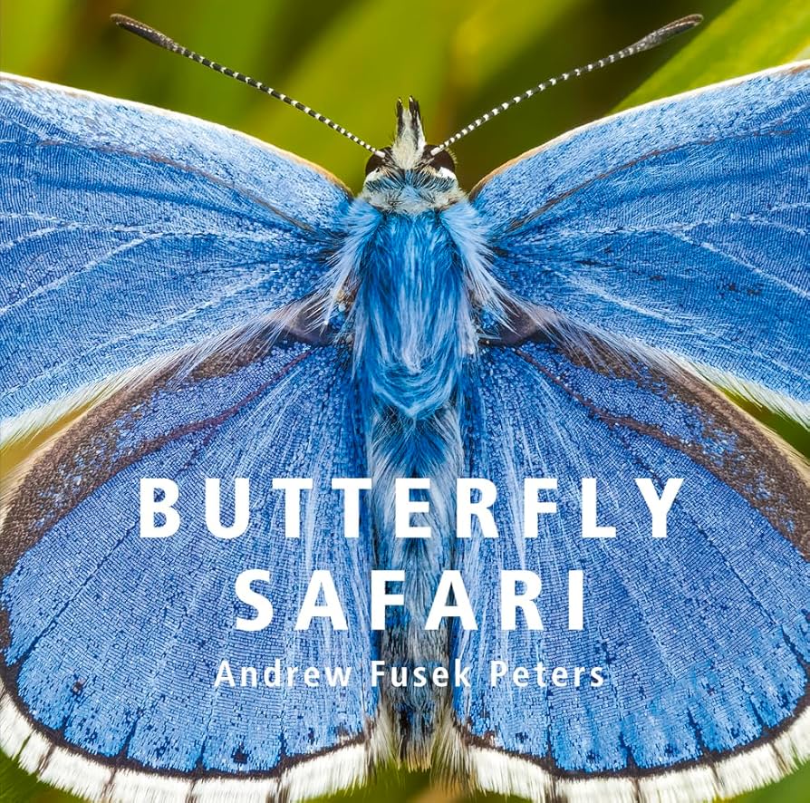 Butterfly Safari: Amazon.co.uk: Fusek Peters, Andrew