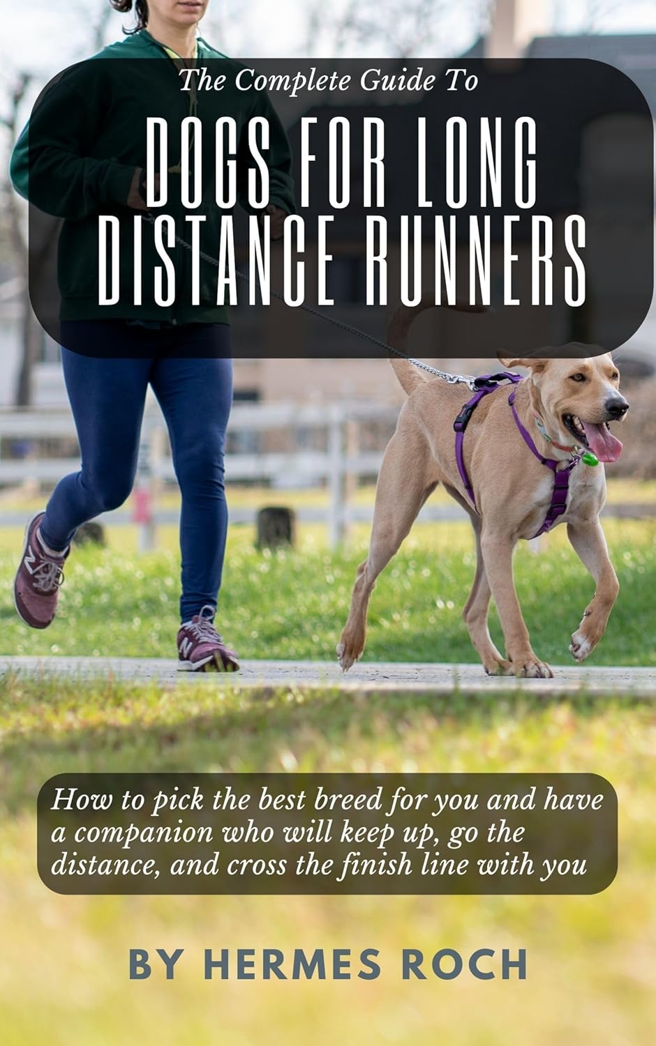 The Complete Guide To Dogs For Long Distance Runners How to pick the