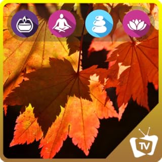 Peaceful Scenic Autumn | Peaceful Music | Relaxing Music | Fall Music