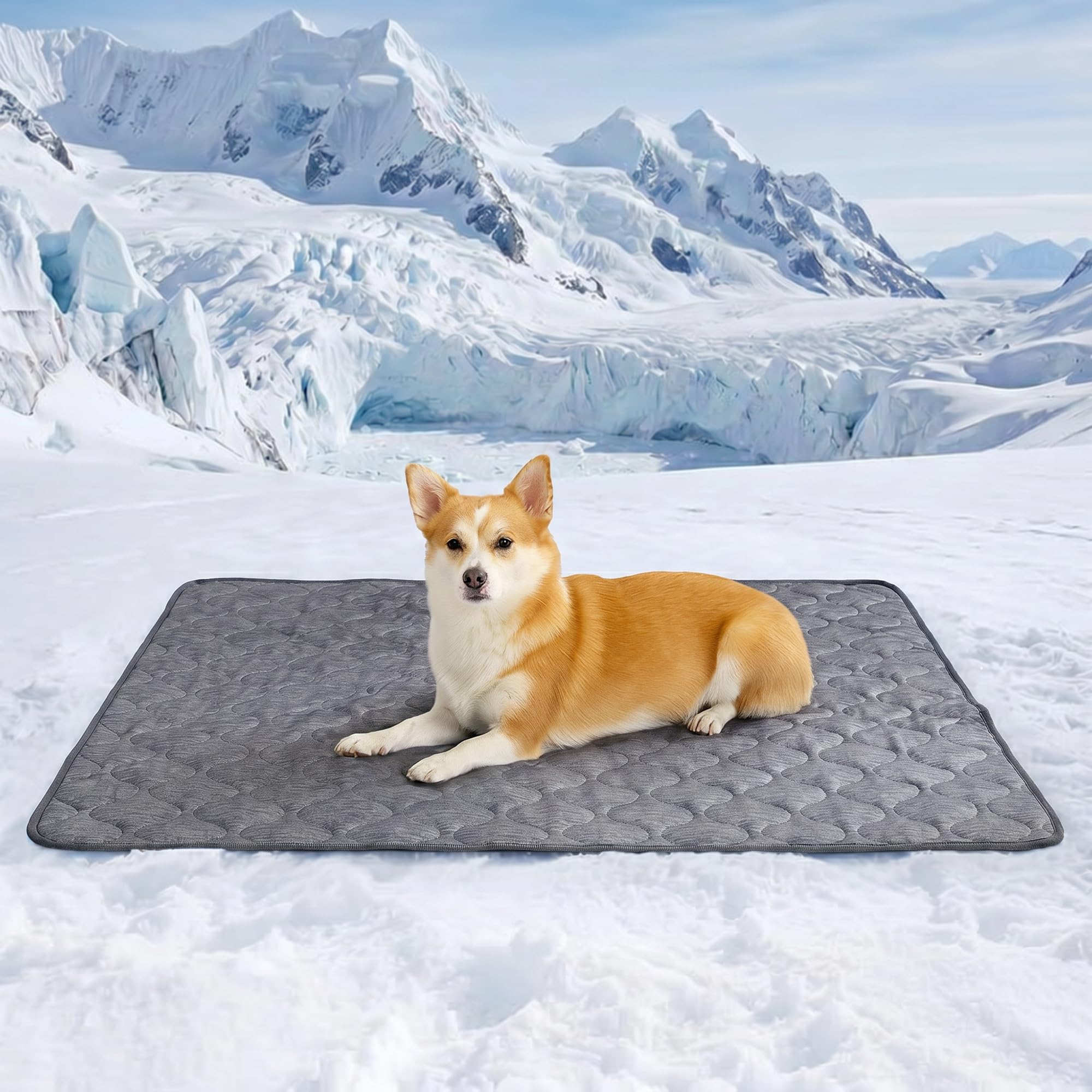 Cozy Bliss Deluxe Leakproof Cooling Blanket for Small Dogs Q-Max 0.5, Soft & Durable Washable Pet Cooling Mat for Hot Weather, Livingroom, Pet Throw & Couch Protector for Cats, Charcoal Grey, 25"x35"