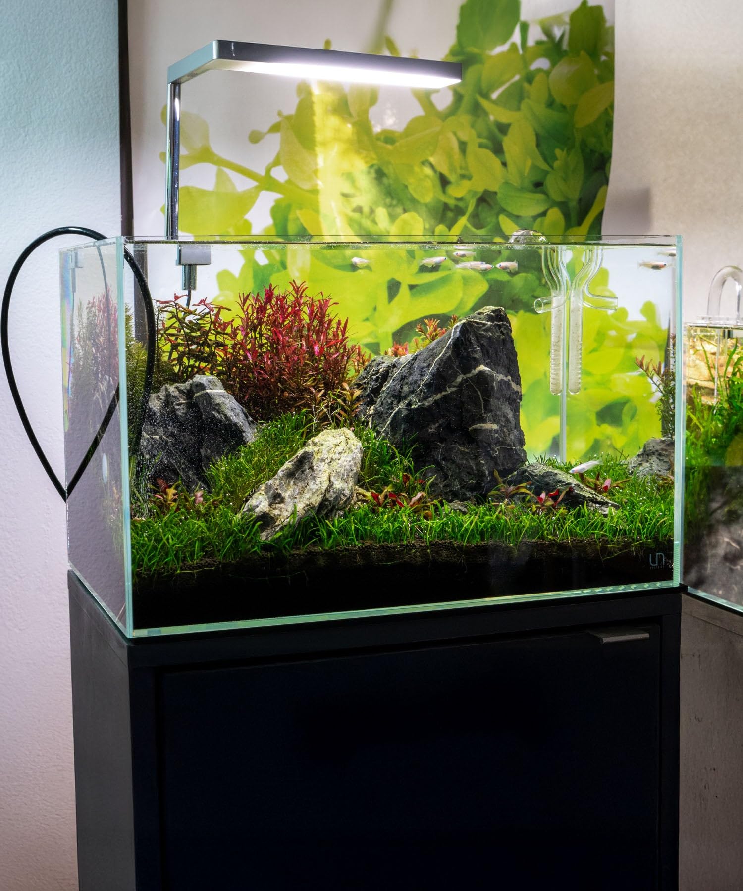 SubstateSource - Pierre naturelle Seiryu pour aquariums, terrariums et enclos d'amphibien, lot mixte de pierres de petite et grande taille - 9,1 kg