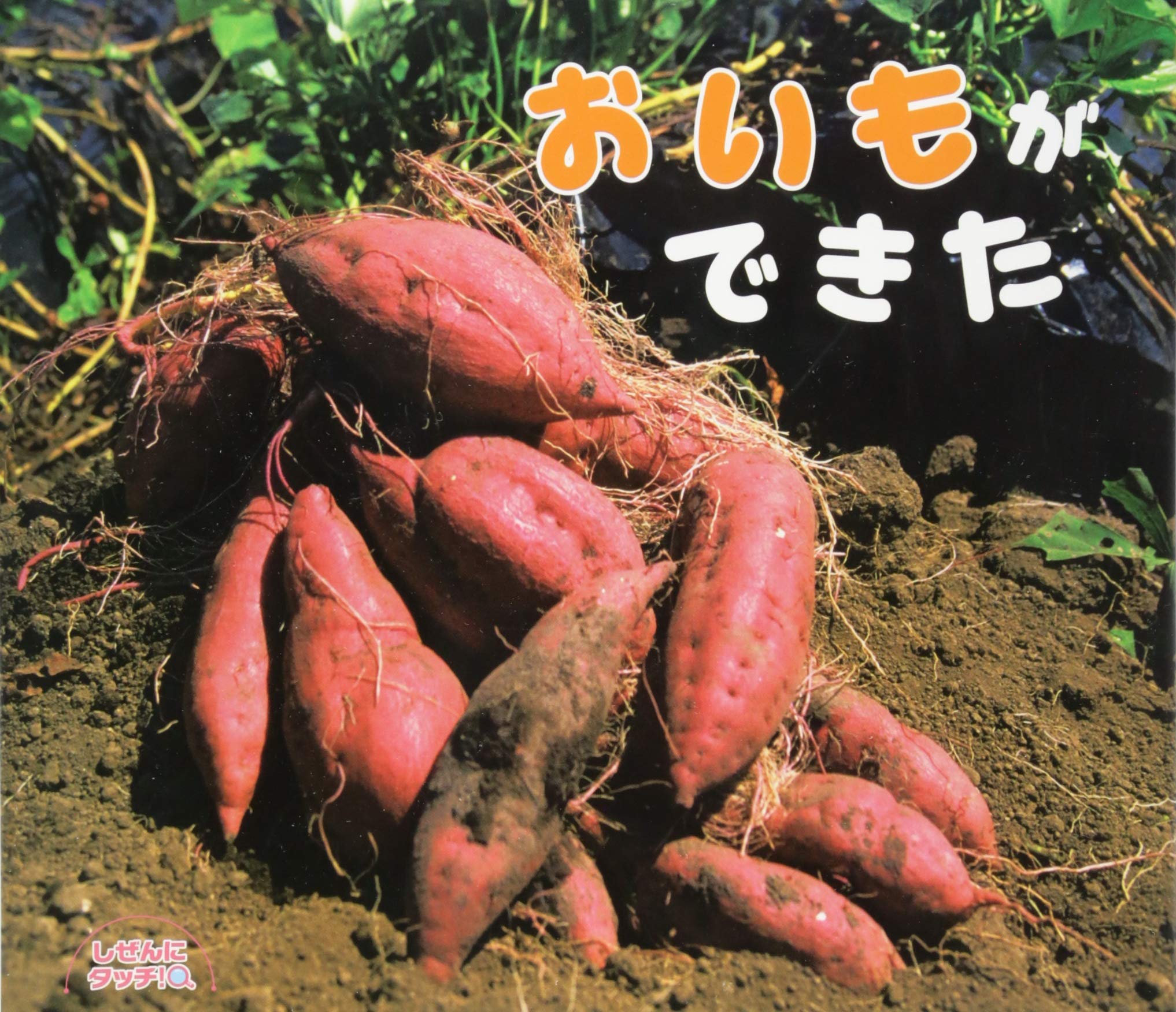 Amazon.co.jp: おいもができた : 馬場 隆, 榎本 功: Japanese Books