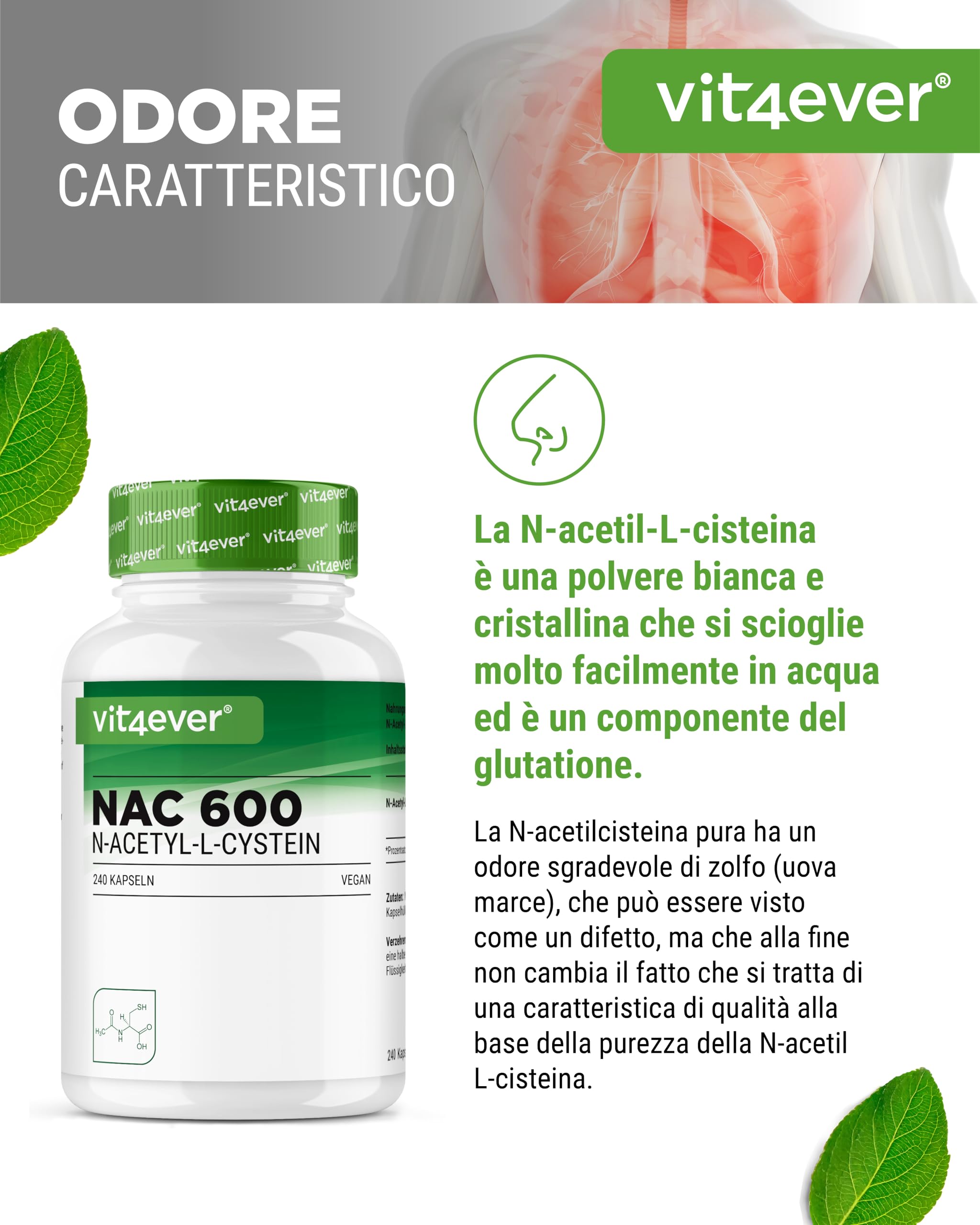 NAC - N-Acetil L-Cisteina 240capsule da 600 mg ciascuna - Fornitura per 8 mesi - Senza additivi - Vegano - Altamente dosato