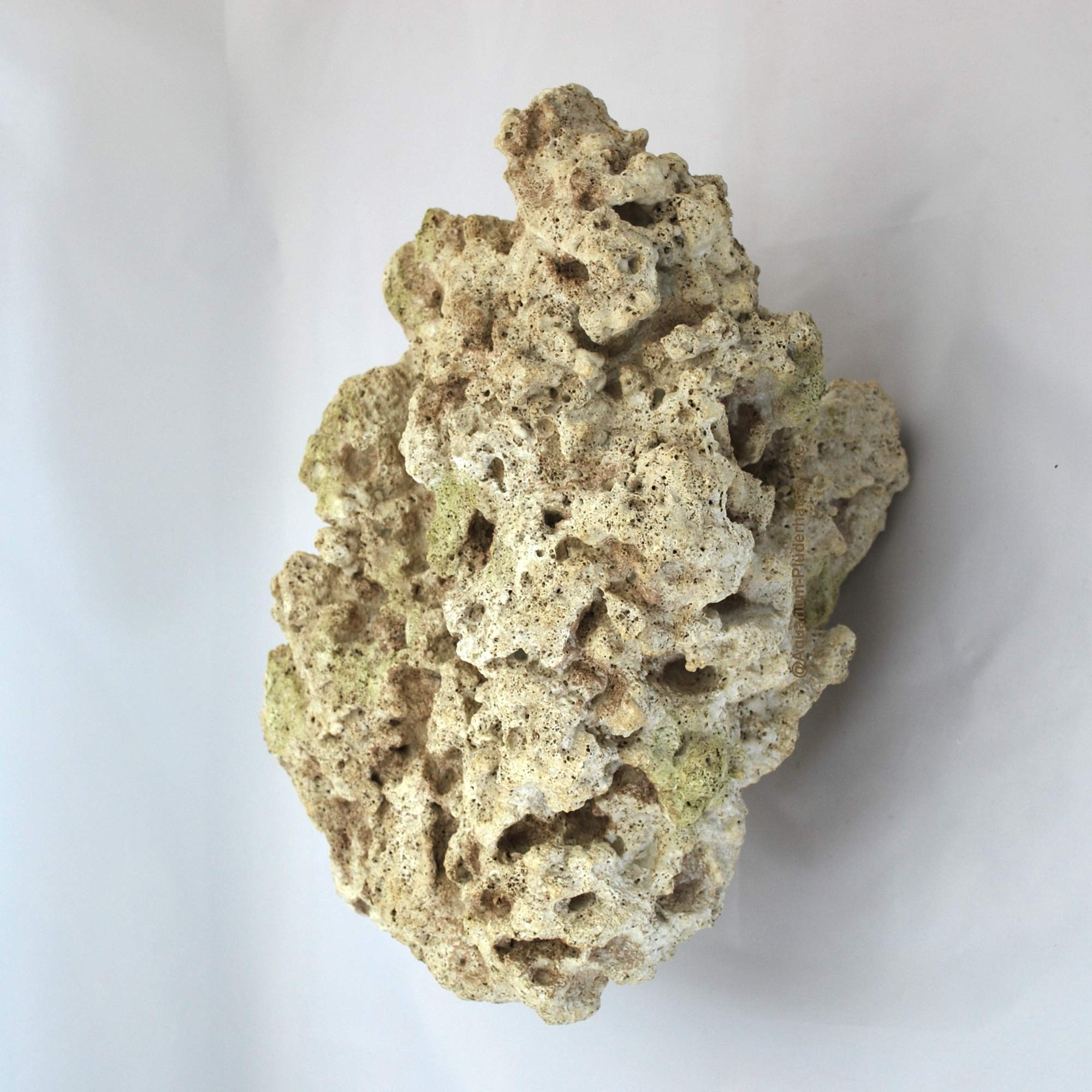 Riffgestein, 37 x 24 x 19 cm, Felsen Nachbildung,Meerwasser Aquarium Deko