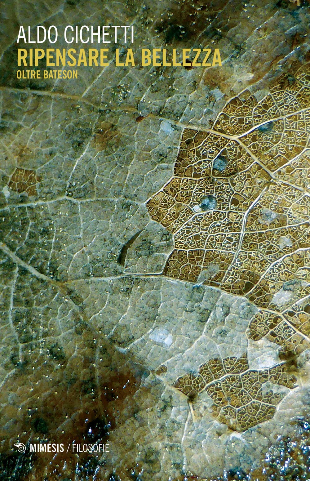 Ripensare La Bellezza. Oltre Bateson - 4