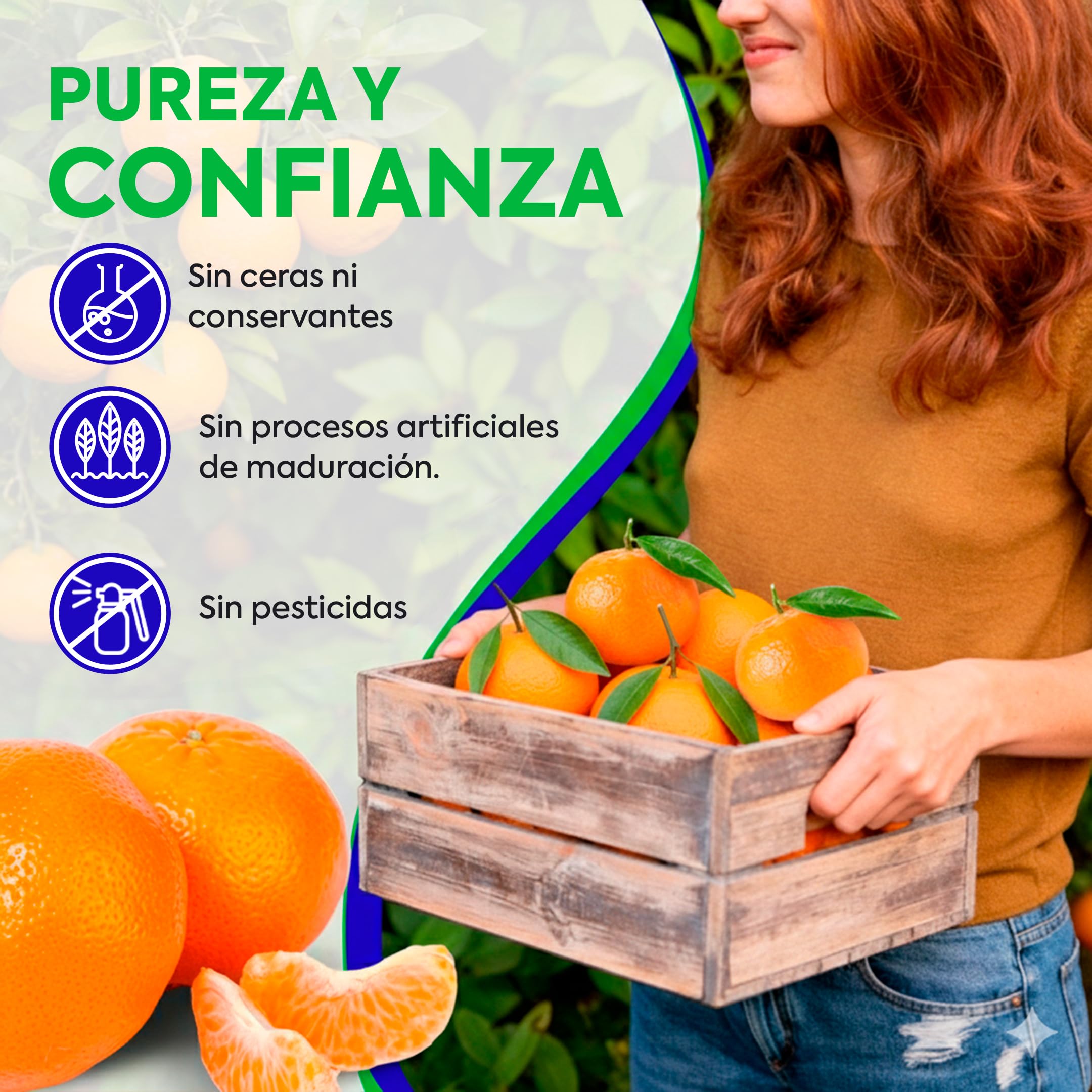 MANDARINAS FRESCAS DE VALENCIA DIRECTAS DEL ARBOL RECIEN RECOLECTADAS - DEL ARBOL A TU MESA SIN TRATAMIENTOS POST COSECHA - CAJAS DE 9, 15 Y 19 KG - FRUTA NATURAL VALENCIANA (9KG)