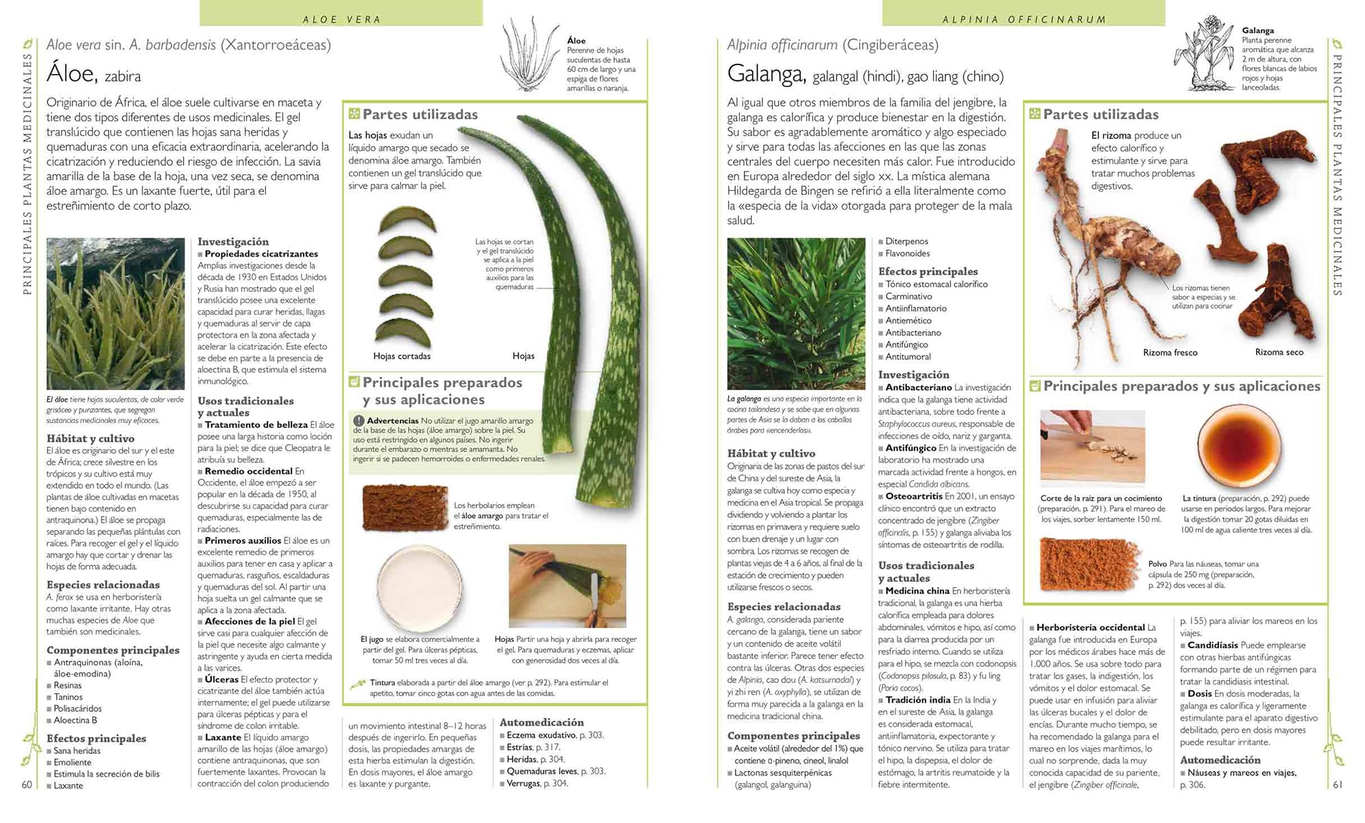 Enciclopedia de plantas medicinales: 560 hierbas y remedios para dolencias comunes