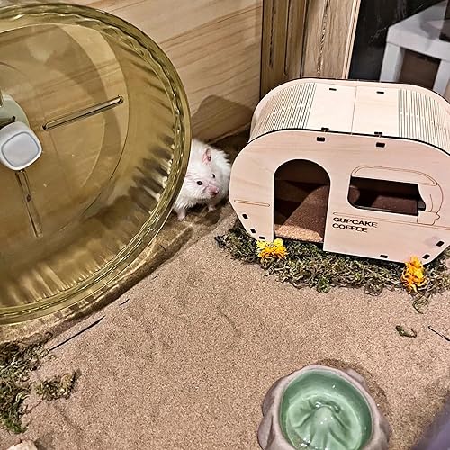 Miniatura 7 de DR.DUDU Arena de baño para hámster, 12 libras, libre de polvo, arena del desierto o arena para orinal para hámster, chinchillas, jerbos, ratones