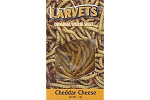 Larvets: Savor the Golden Goodness of Cougar Gold Cheese