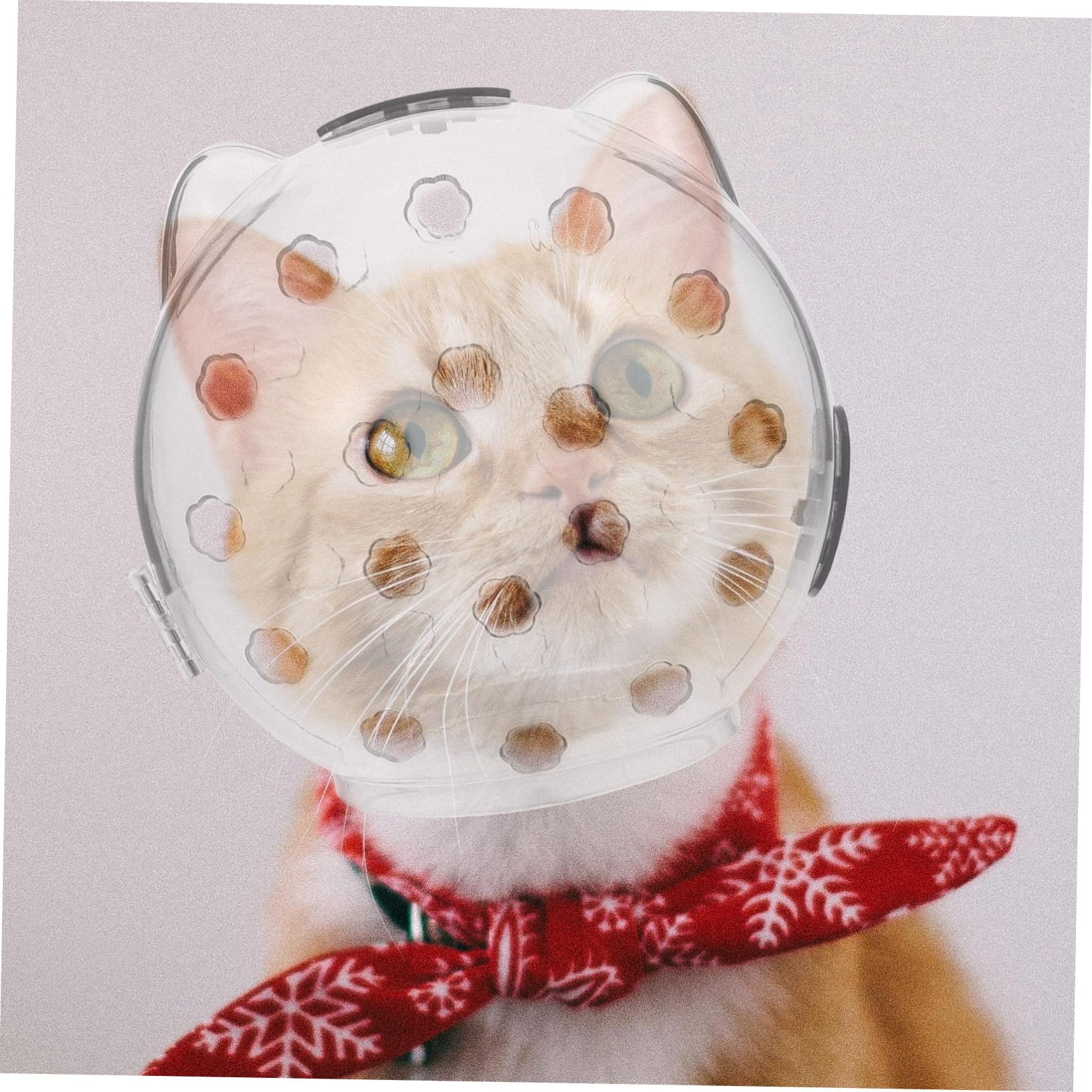 POPETPOP 2 Piezas Capucha de Gato Cat Scratcher Casco Gatito Anti Mordedura Casco Redondo Gato o de para Dejar de lamer Capucha Transparente para s. o para AbS