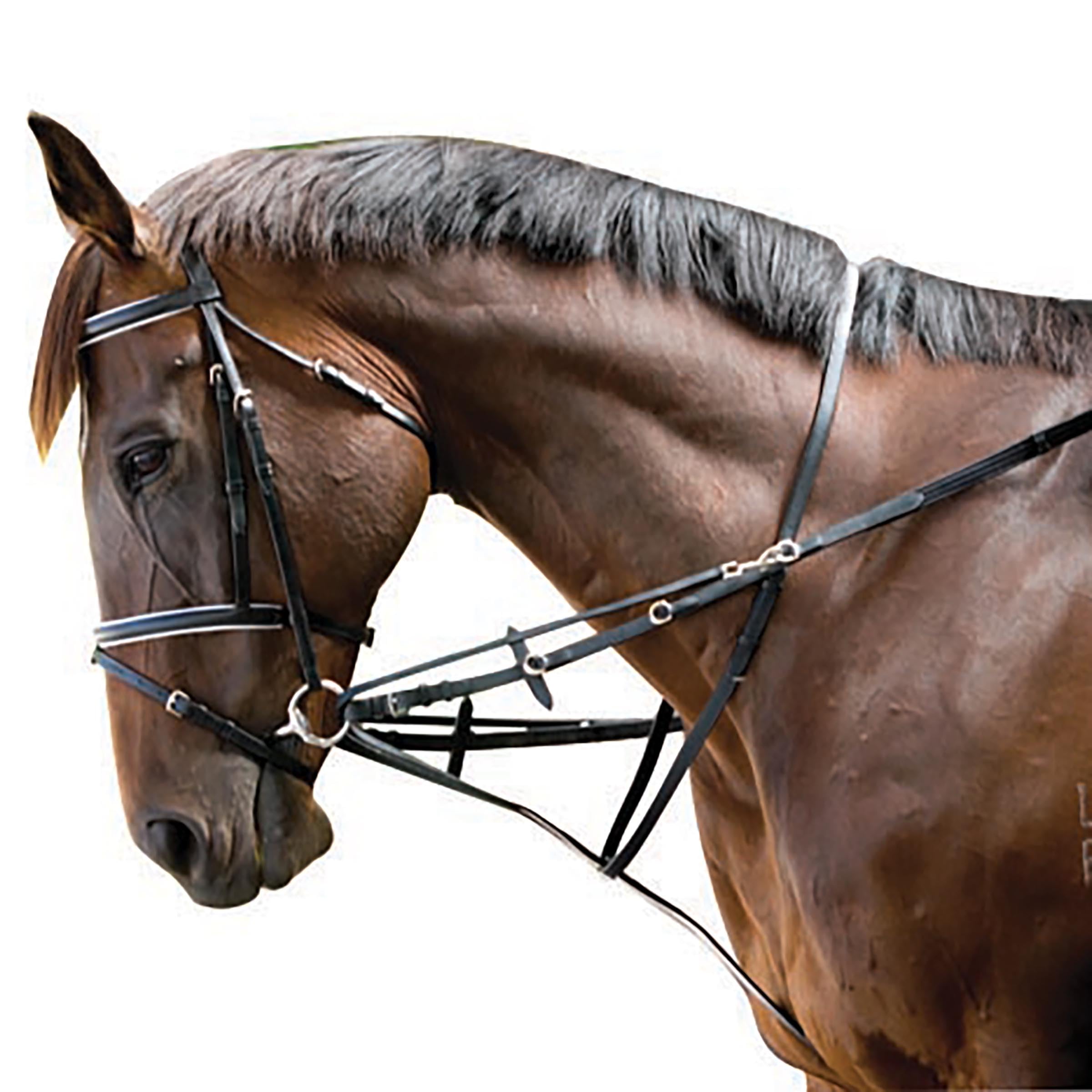 Kincade Web Market Harborough/German Martingale, Black, Full