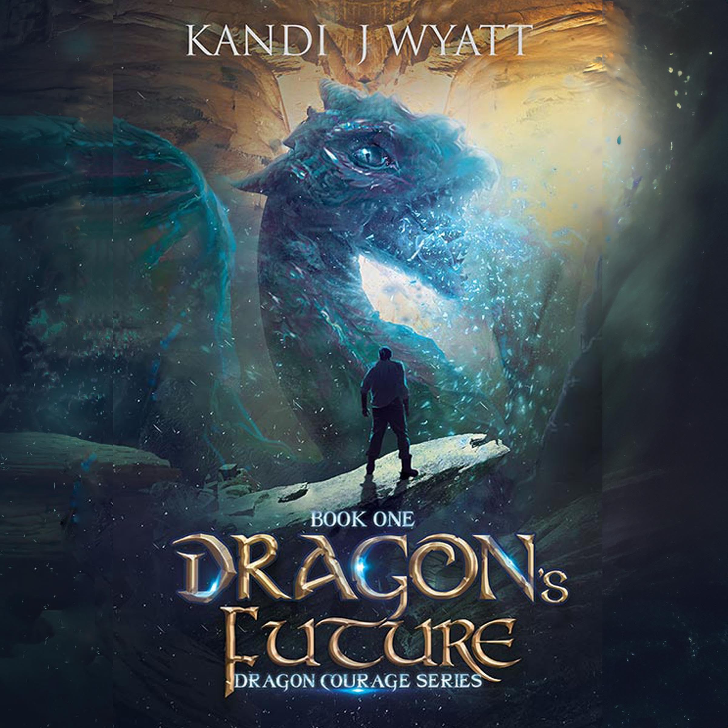 Cover art for Dragon's Future