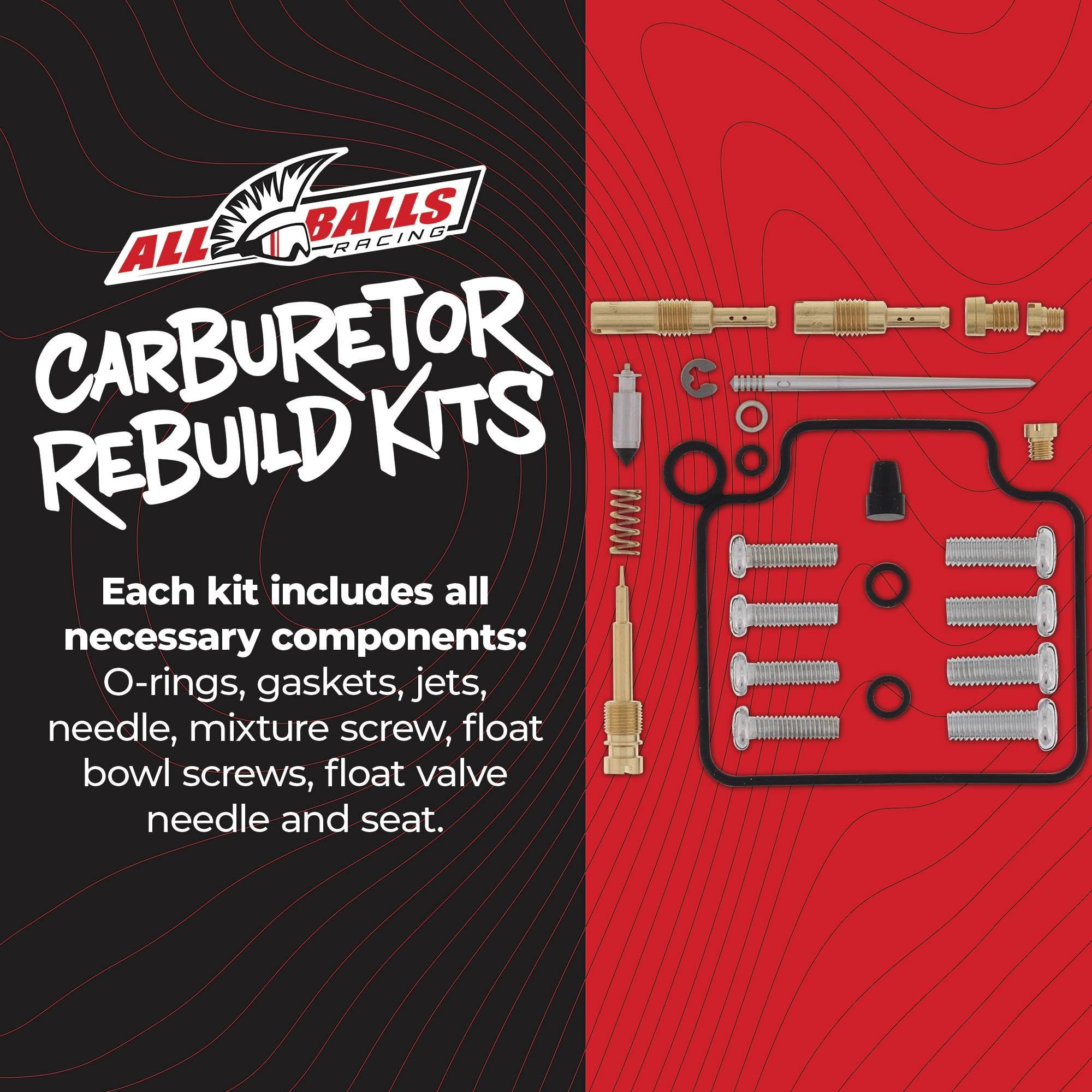Amazon.com: All Balls Racing 26-1373 Carburetor Rebuild Kit