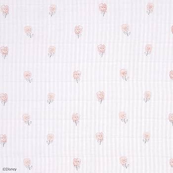 SVE アリス　3枚セット SVE アリス 3枚セット Alice/アリス】 シアーレース/ Vネック