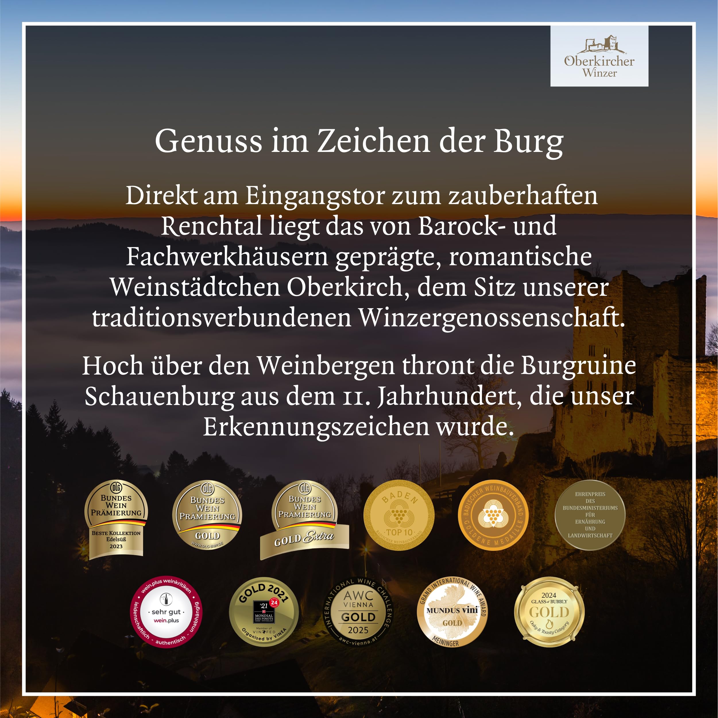 Oberkircher Winzer Scheurebe Auslese - 92,1 PUNKTE GOLD 2025 AWC Vienna - COLLECTION OBERKIRCH - erfrischende Säure mit viskoser Fruchtsüße, Badischer Wein, Anbaugebiet Ortenau (3 x 0,375l)