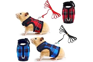Cute Adjustable Chinchilla Harness Small Animals Vest Leash Double Buckle Design