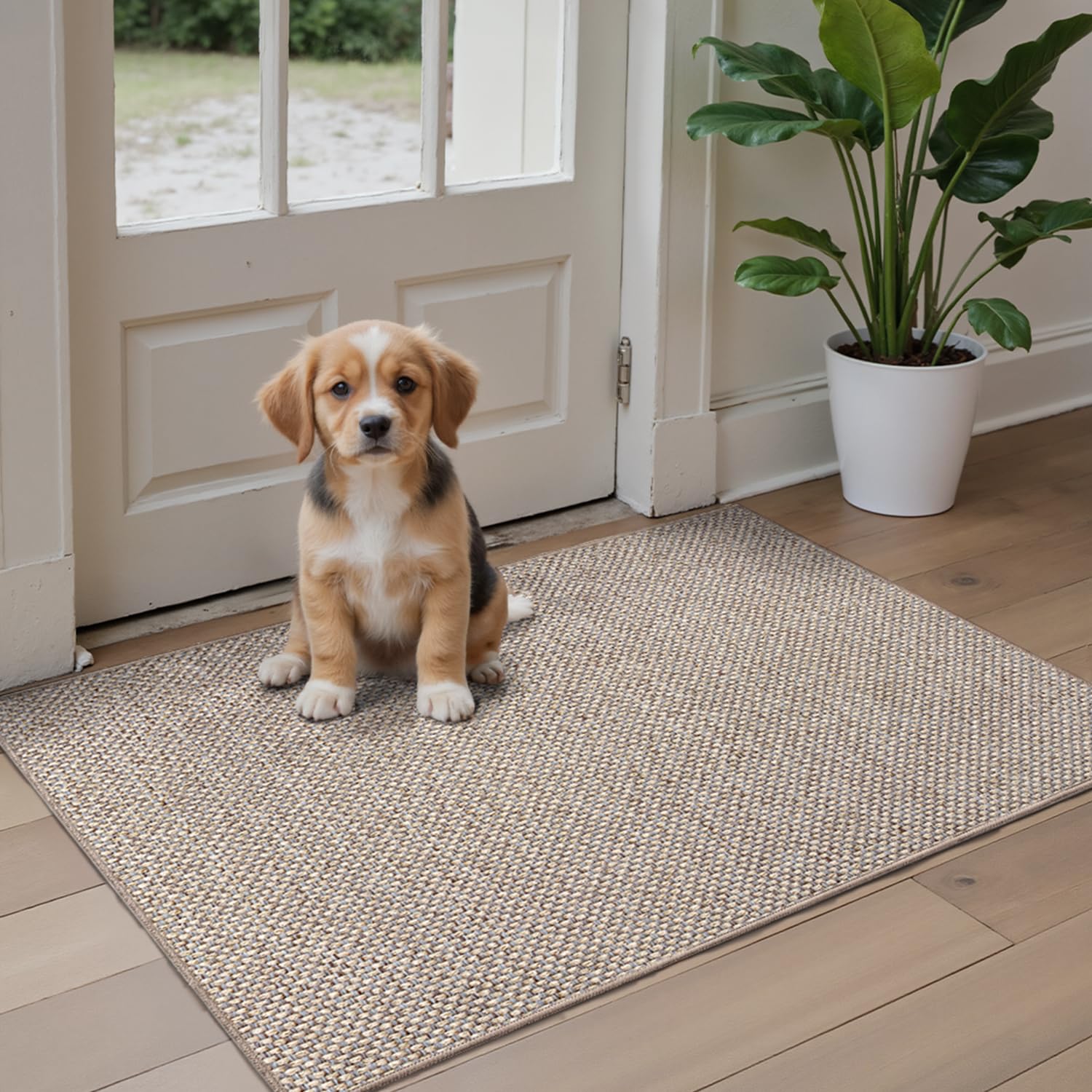 DEXI Schmutzfangmatte Innen 60 x 90 cm, rutschfest Fußmatte waschbar, absorbierend Fussmatte, Dünne Türmatte Eingangsteppich für Haustür & Flur, Beige