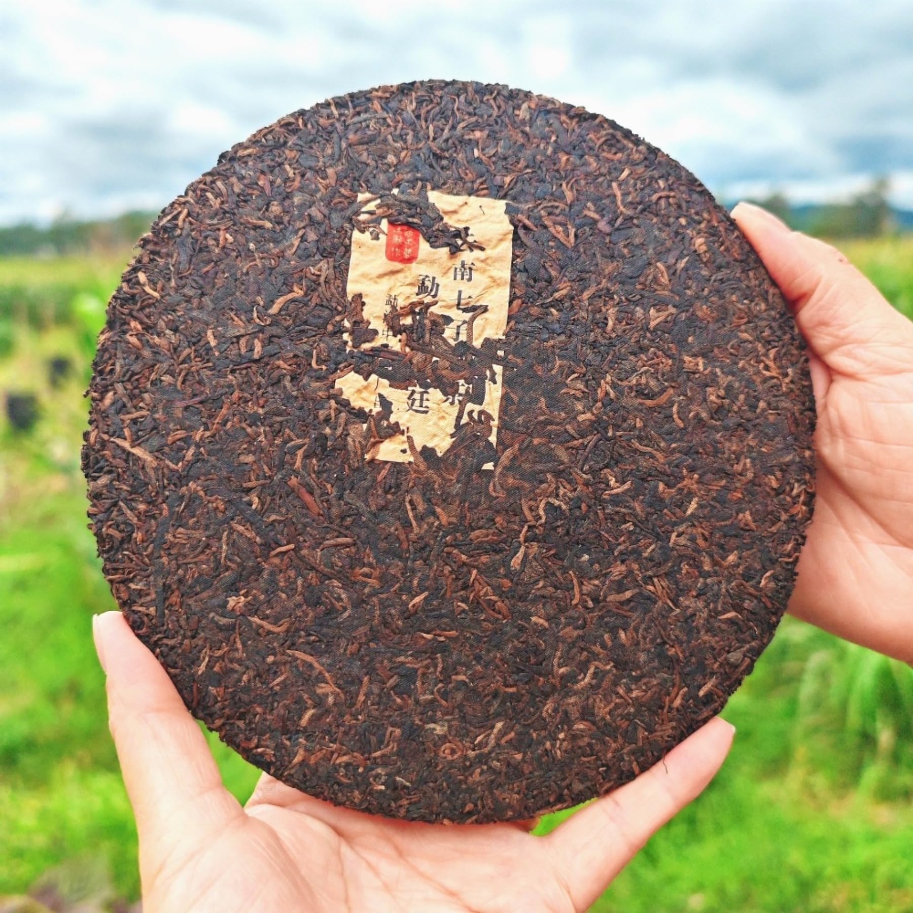 Herbata Yunnan Pu'er, herbata czarna 357g / 12,59 uncji dojrzałej herbaty Menghai Bulang Mountain, pyszna i kojąca