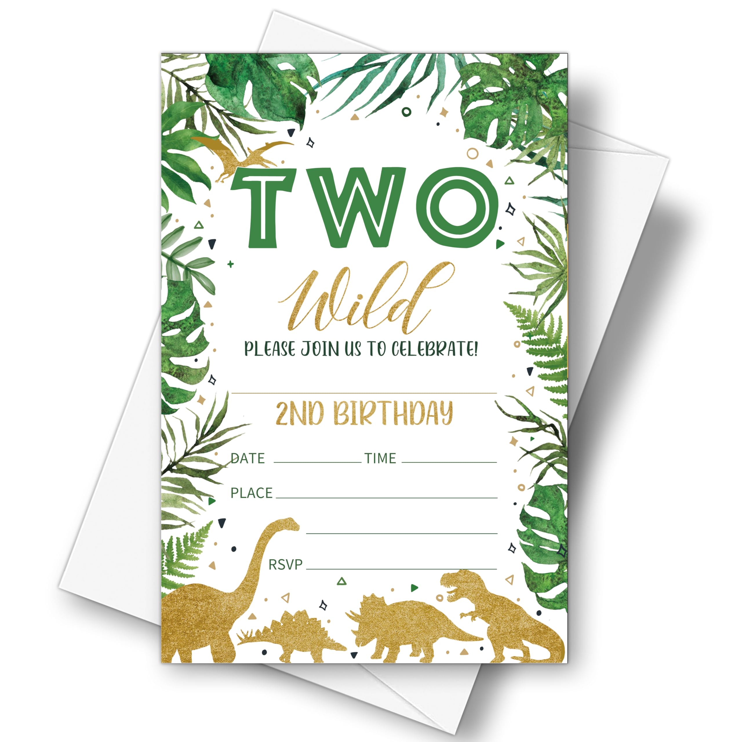 GOLRMC Two Wild Dinosaur Birthday Invitations, 2nd Birthday Invitation Card for Girls Boys, 20 Party Invites with Envelopes for Party Supplies