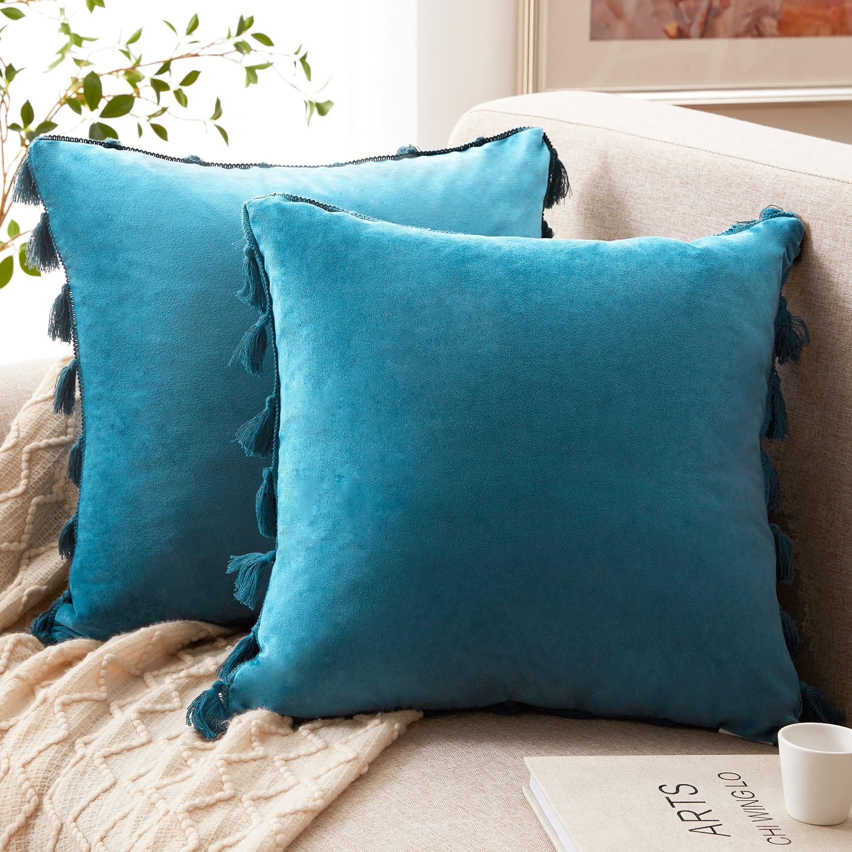 Western Home Pack of 2 Velvet Decorative Throw Pillow Covers with Tassels Fringe Boho Accent Cushion Case for Couch Sofa Bed 20 x 20 Inch Teal Blue