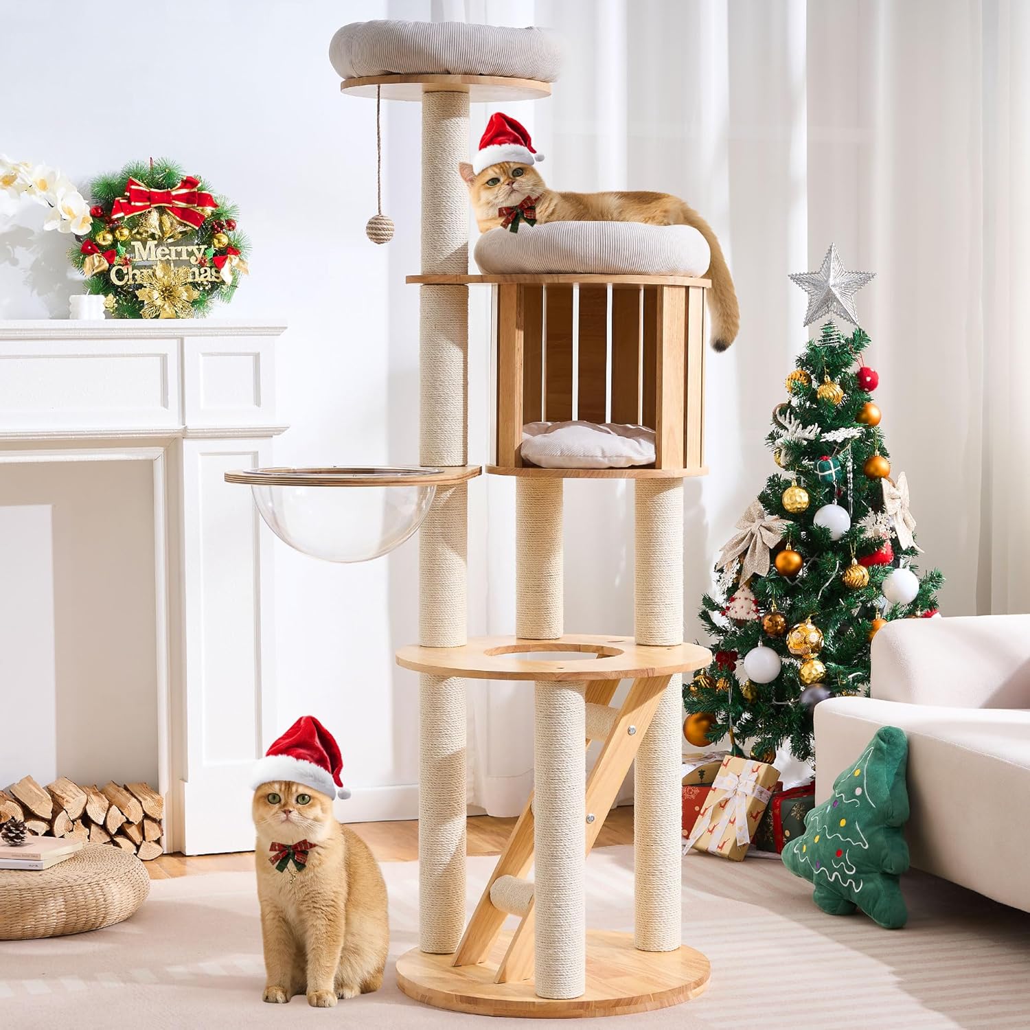 HITTITE Solid Wood Cat Tree Tower with Scratching Post, 61 Inches Tall Cat Towers with Capsule and Condo, Modern Cat Tower with Climbing Ladder and Removable Top Bed for Indoor Cats.