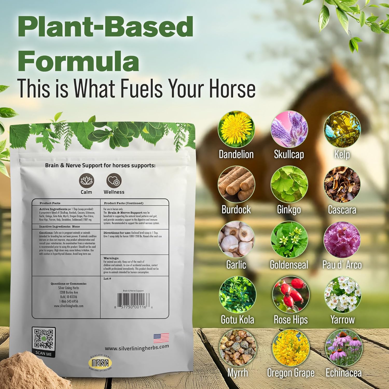 Silver Lining Herbs Brain & Nerve Support Supplement for Horses - Horse Supplements for Focus, Mental Health & Brain Support - Contains Herbal Blend of Ginkgo, Gotu Kola, & More - 1 lb 60-Day Supply