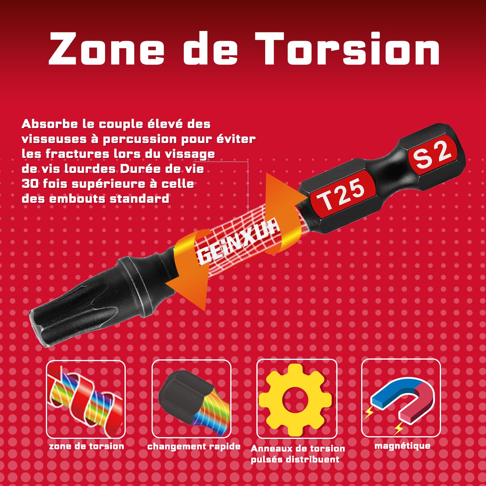 Geinxurn Professional 68 Pièces Embouts de Vissage aux Chocs (PH-, TX-, PZ-, SL-, Hex), Embout Magnétique pour Visseuse Tournevis Tige Hexagonale 1/4" S2 en Acier Allié avec Porte-embout de 75 mm