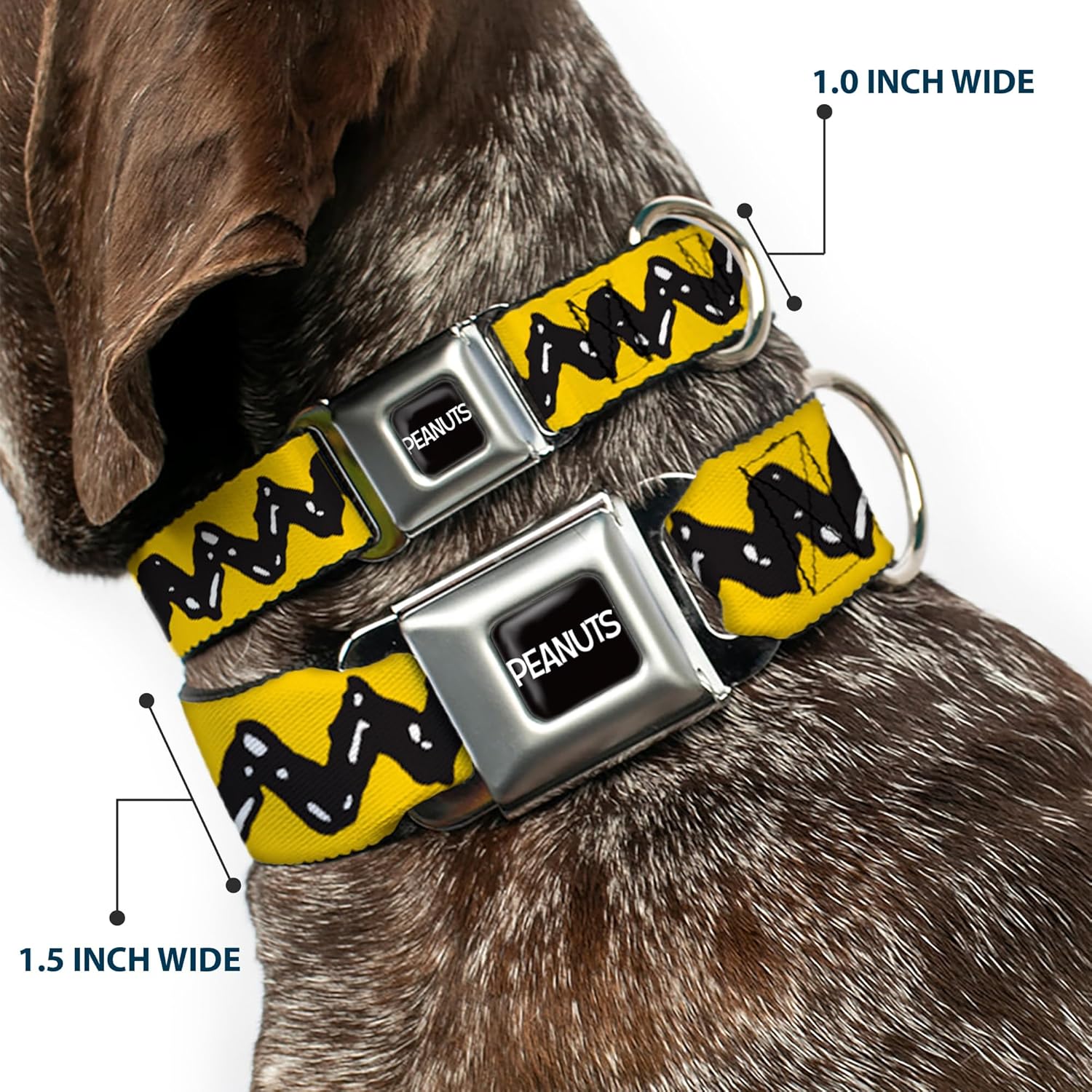 Peanuts Worldwide LLC Pet Collar, Dog Collar Metal Seatbelt Buckle, Peanuts Charlie Brown Zig Zag Stripe Yellow Black, 15 to 24 Inches 1.0 Inch Wide