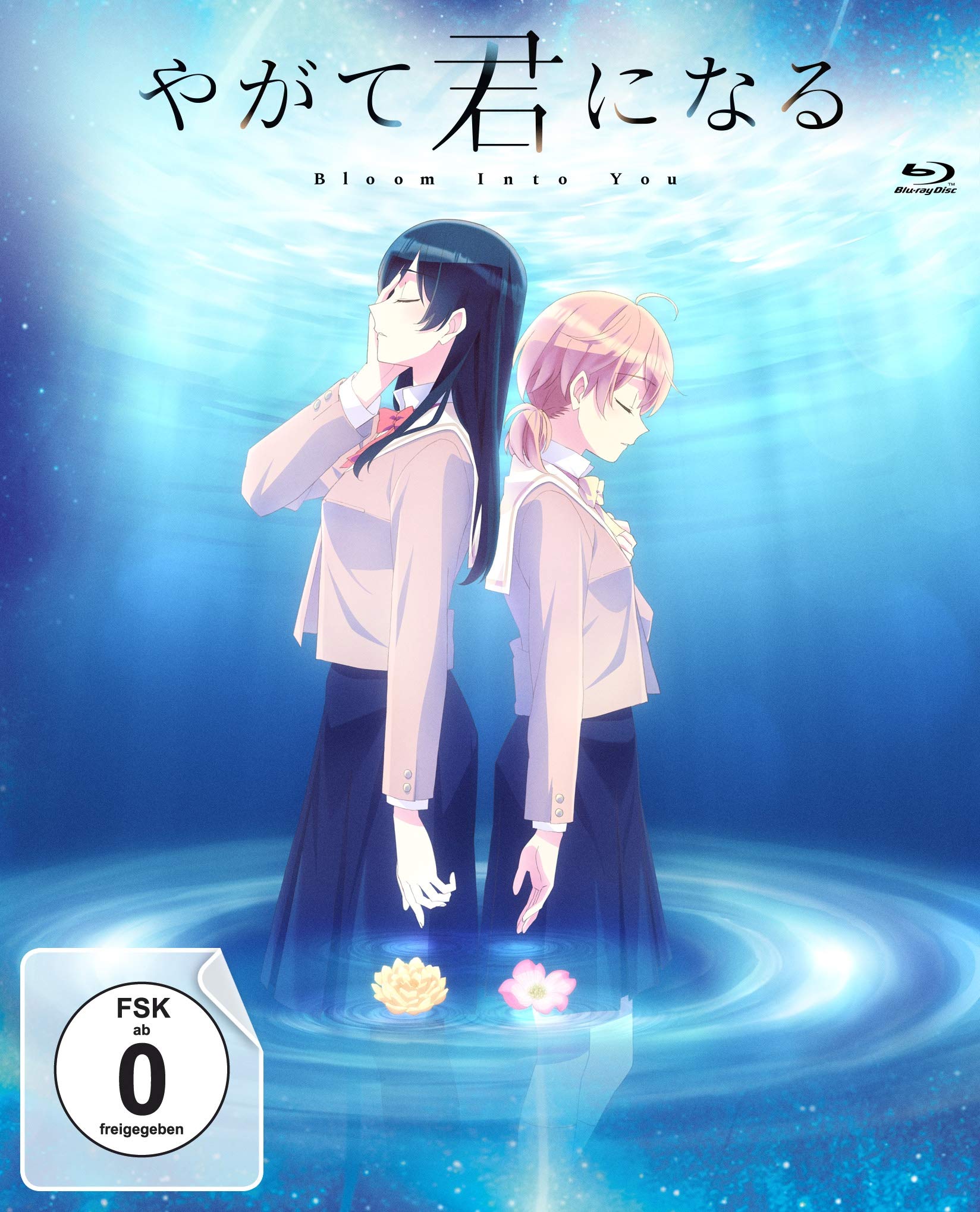 Bloom Into You - Volume 3 (Episode 9-13) im Sammelschuber [Blu-ray]