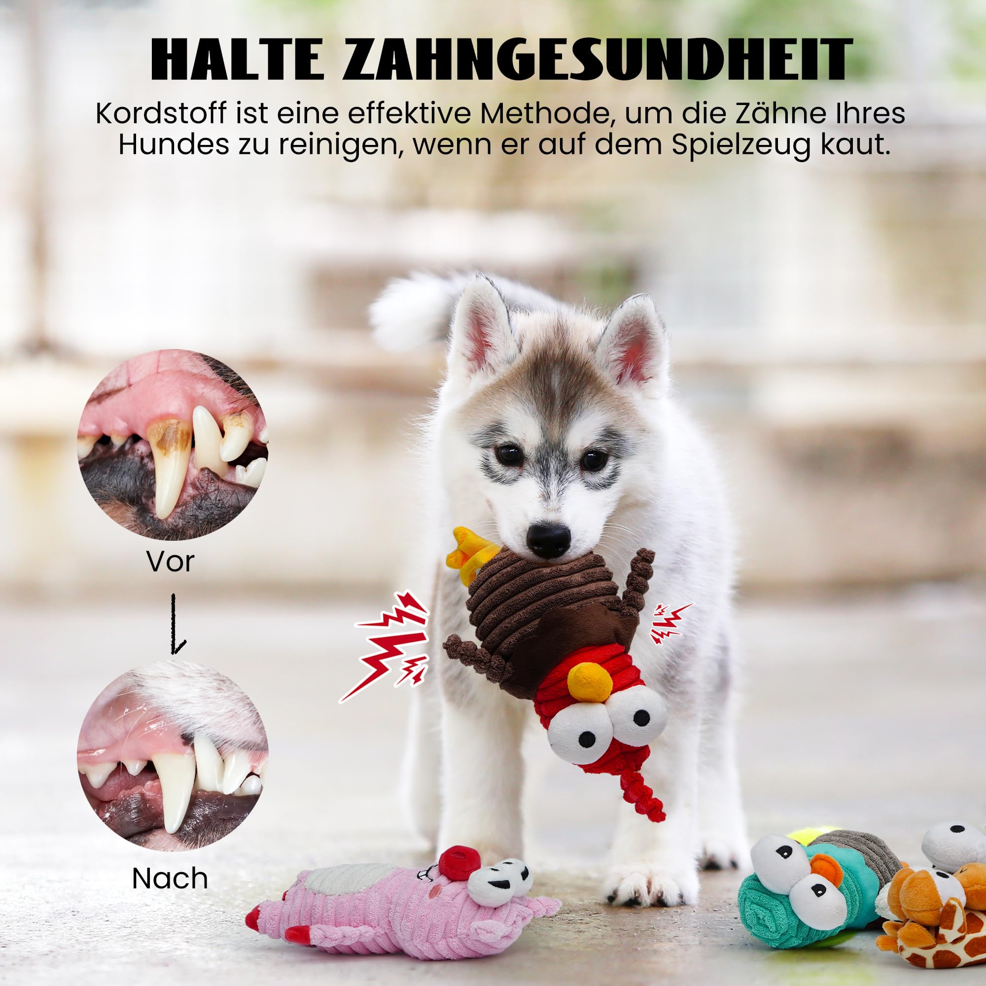 Nocciola 5 Packs Quietschendes Hundespielzeug, 5 Lustige Seltsame Quietschen für Verschiedene Tiere, Unzerstörbares Kuscheltier für Welpen, Plüsch-Spielzeug für Kleine, Große Hunde