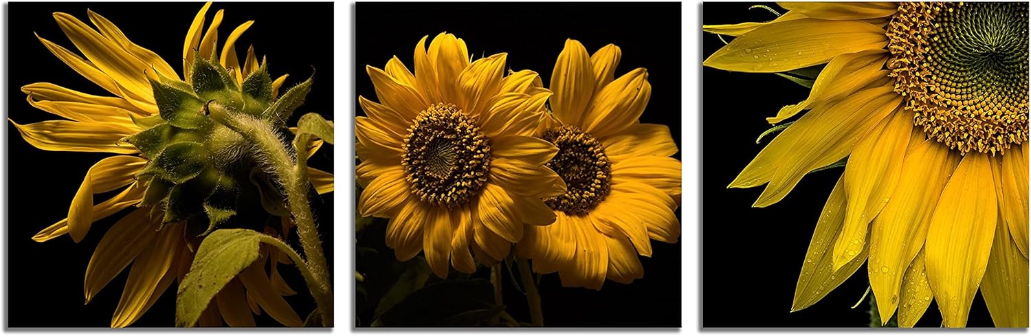 Shy Sunflower Wall Art Canvas Sunflower Decor Black and Yellow Pictures on Wall Art for Home Office Decorations Living Room Bedroom and Kitchen Decor 3 Pcs Framed Canvas Prints 12X12inches