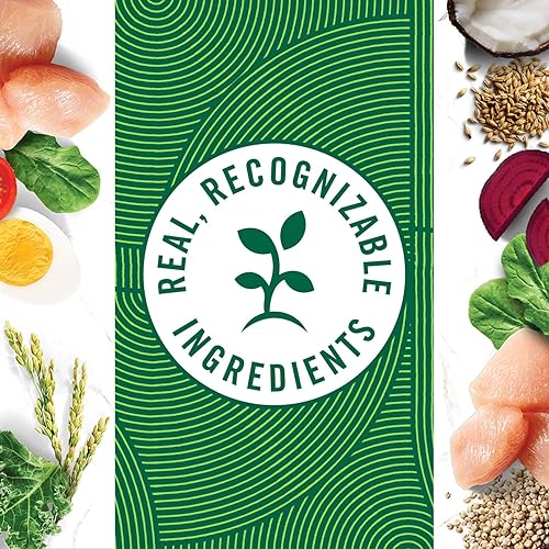 Miniatura 10 de Nutro Wholesome Essentials pollo de granja arroz marrón y patata dulce receta seca pequeña raza para perros