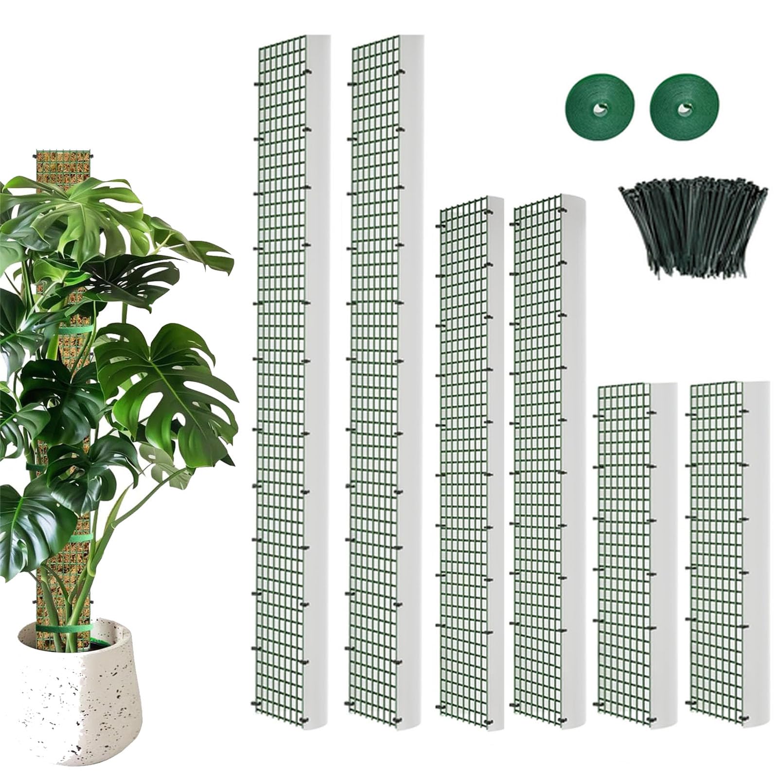Kit de bricolage pour plantes grimpantes avec 3 piquets en D et attaches